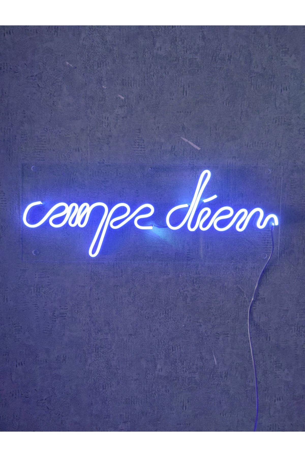 dekoraven Carpe Diem Neon Led Tabela Dekoratif Aydınlatma