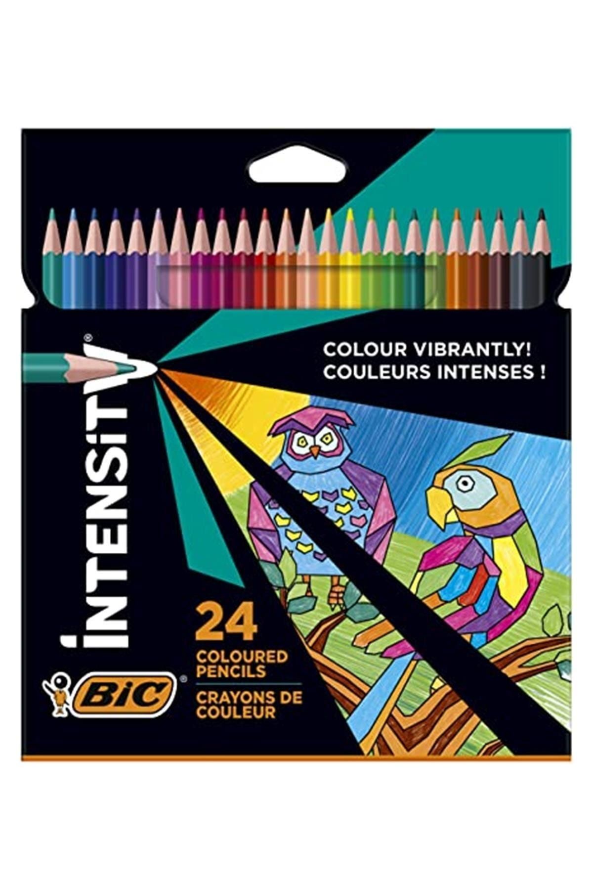 Bic Color Up Üçgen Kuru Boya Kalemi  24'lü Kutu