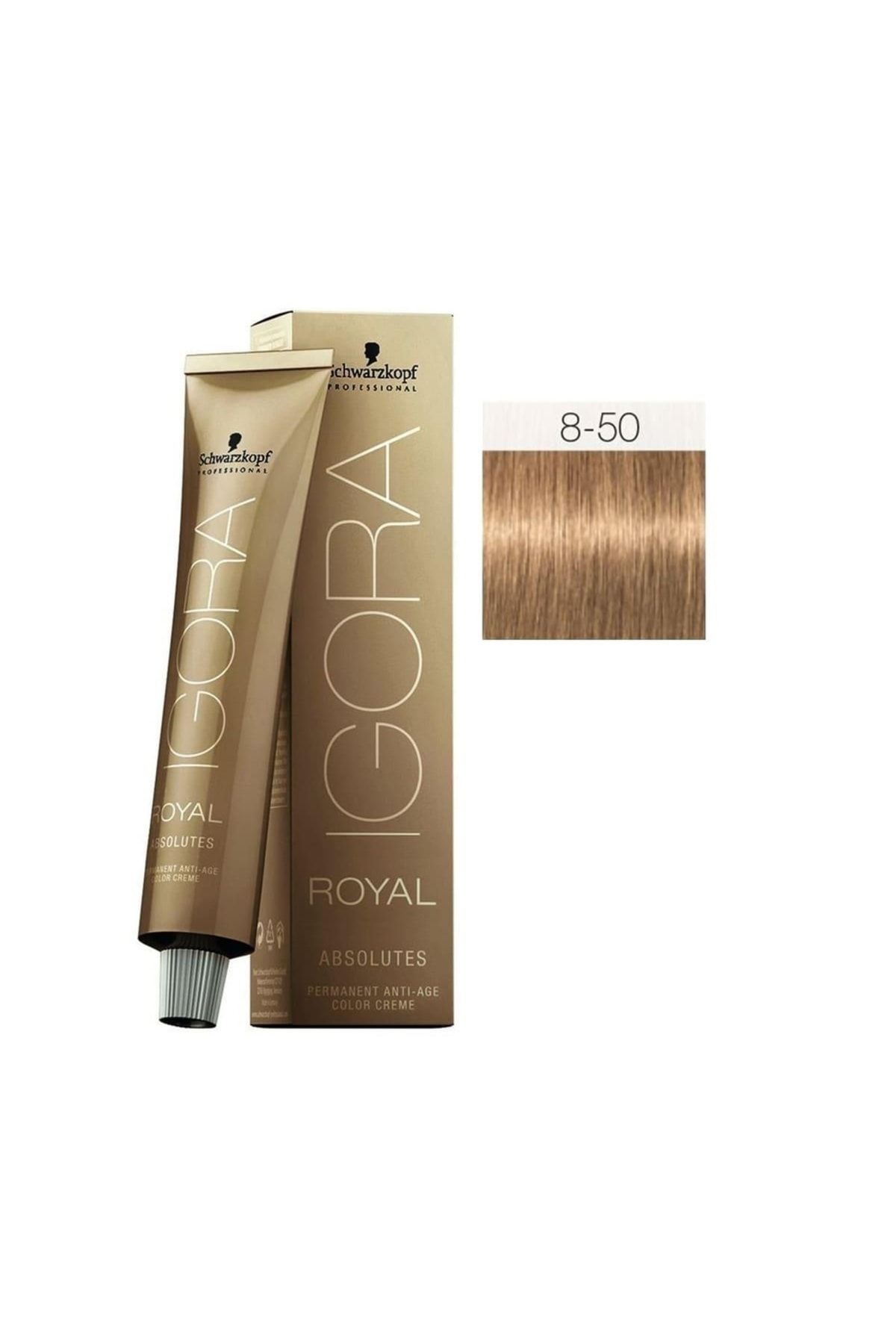 Schwarzkopf Igora Royal Absolutes 8-50 Açık Kumral-doğal Altın Saç Boyası + Saç Kremi(özel)
