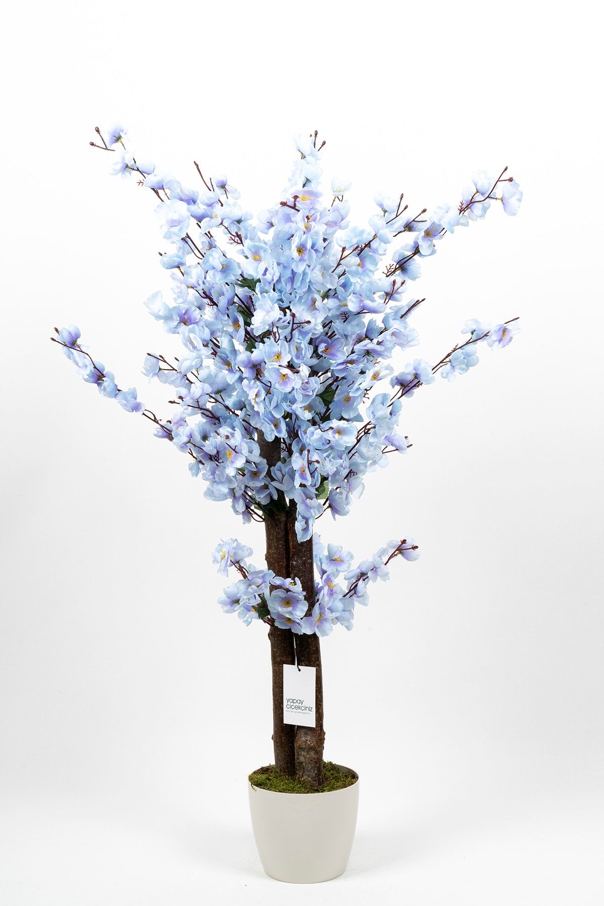YAPAY ÇİÇEKÇİNİZ Beyaz Saksıda 100 Cm Mavi Yapay Japon Bahardalı Ağacı