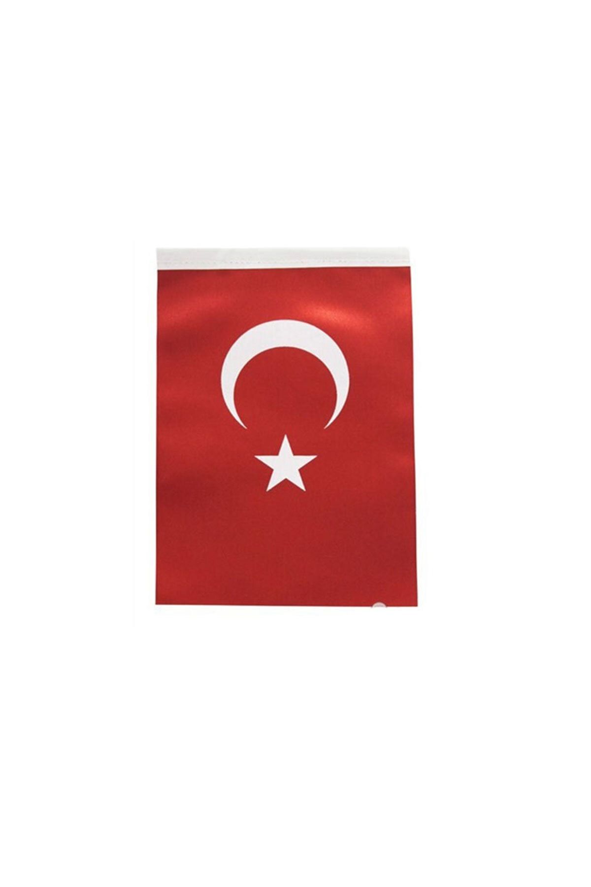 İnter Türk Bayrağı 40x60 Cm