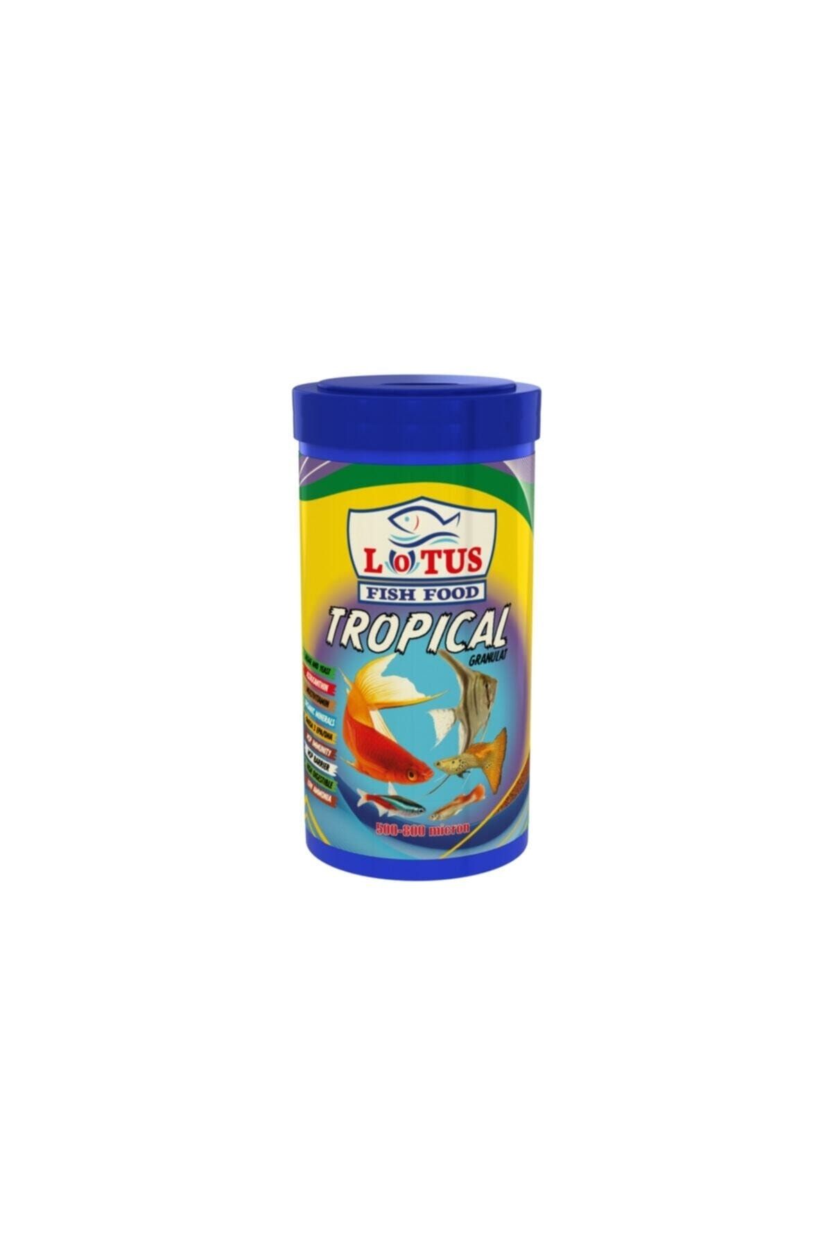 Lotus Tropical Granulat Karışık Lepistes Moli Tetra 1000ml Kutu Balık Yemi