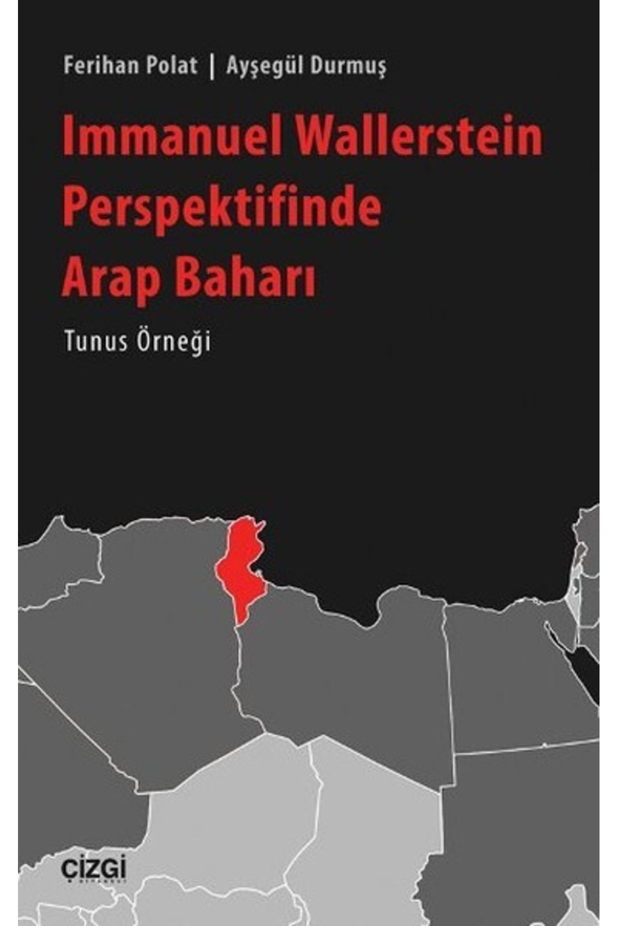Çizgi Kitabevi Immanuel Wallerstein Perspektifinde Arap Baharı