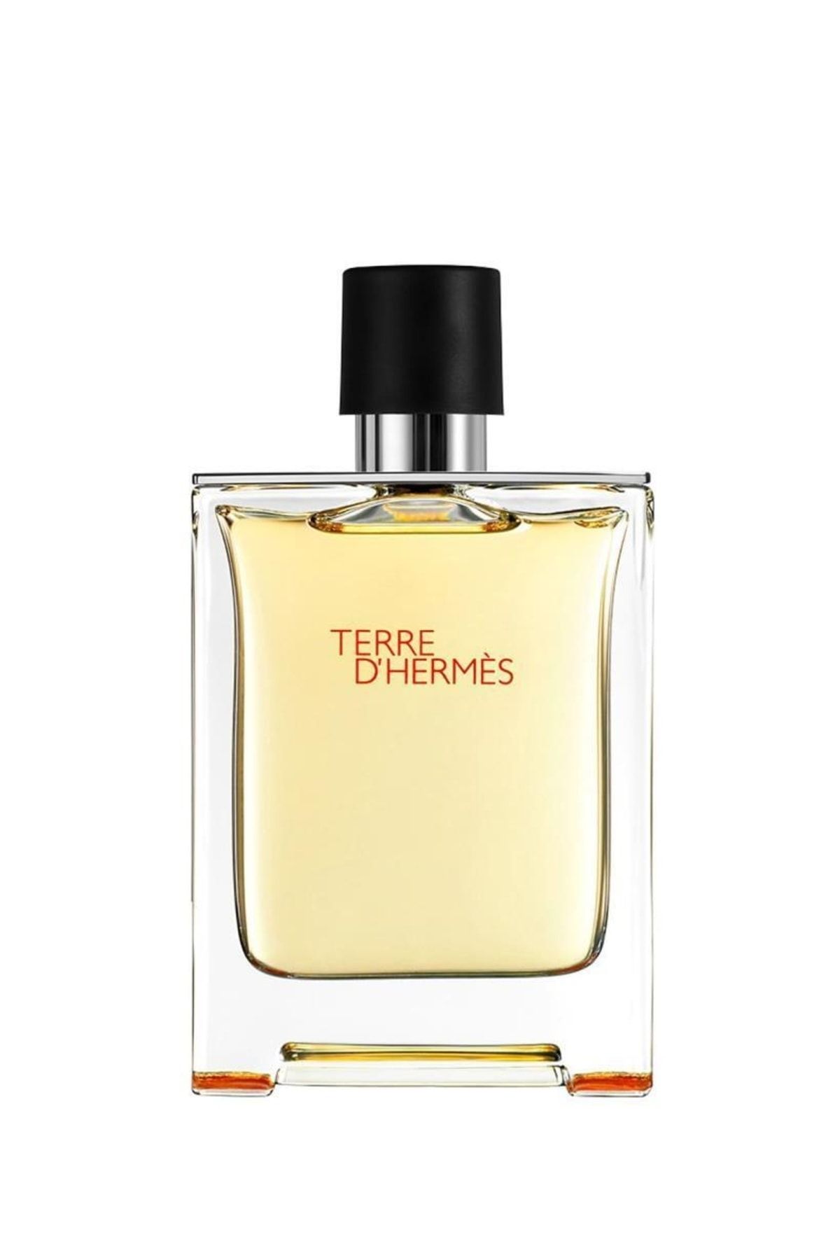 Hermes Terre D Erkek Parfüm 100ml Edt