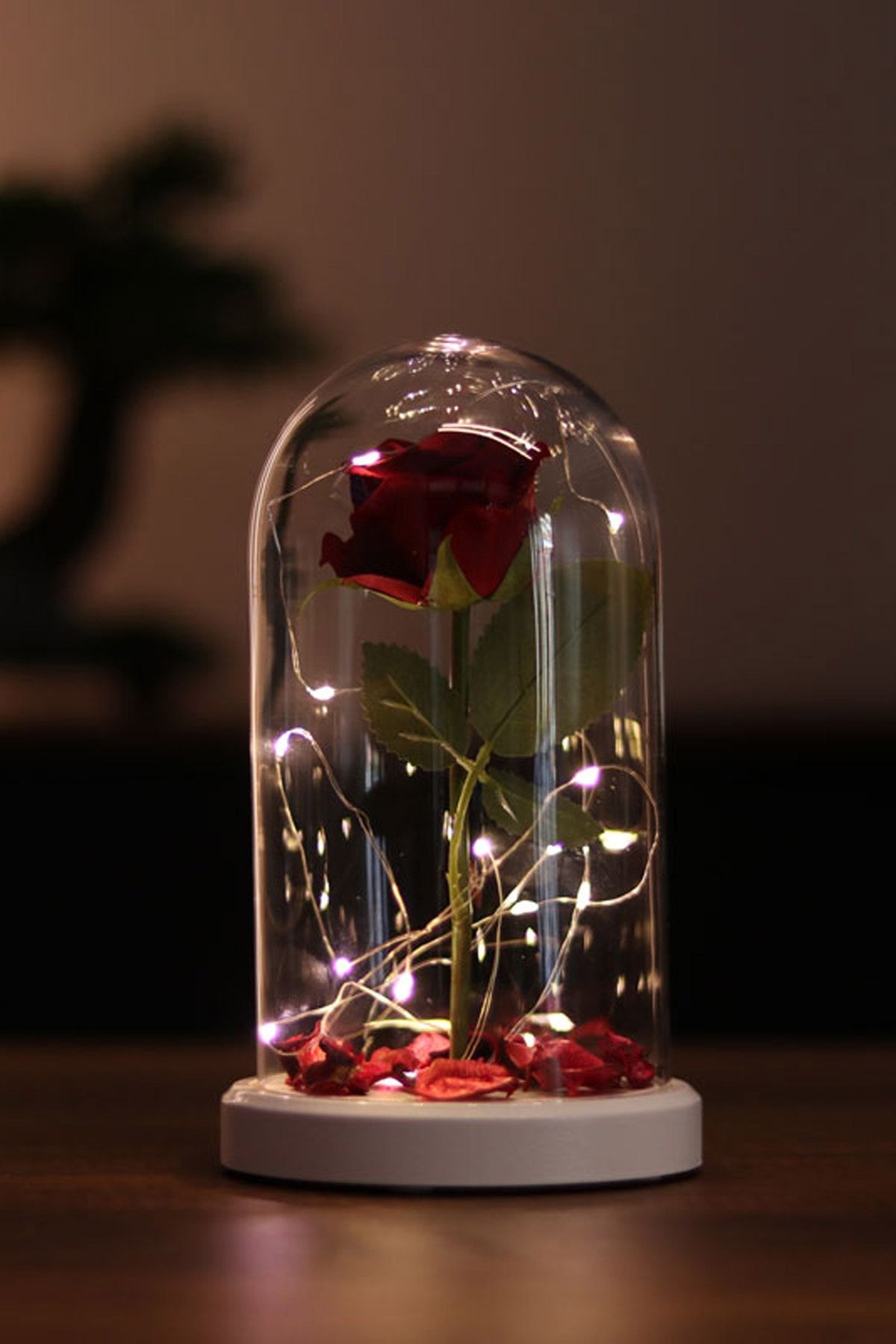 BY-LAMP Sevgililere Özel Romantik Hediye Kırmızı Gül Işıklı Cam Fanus Lamba