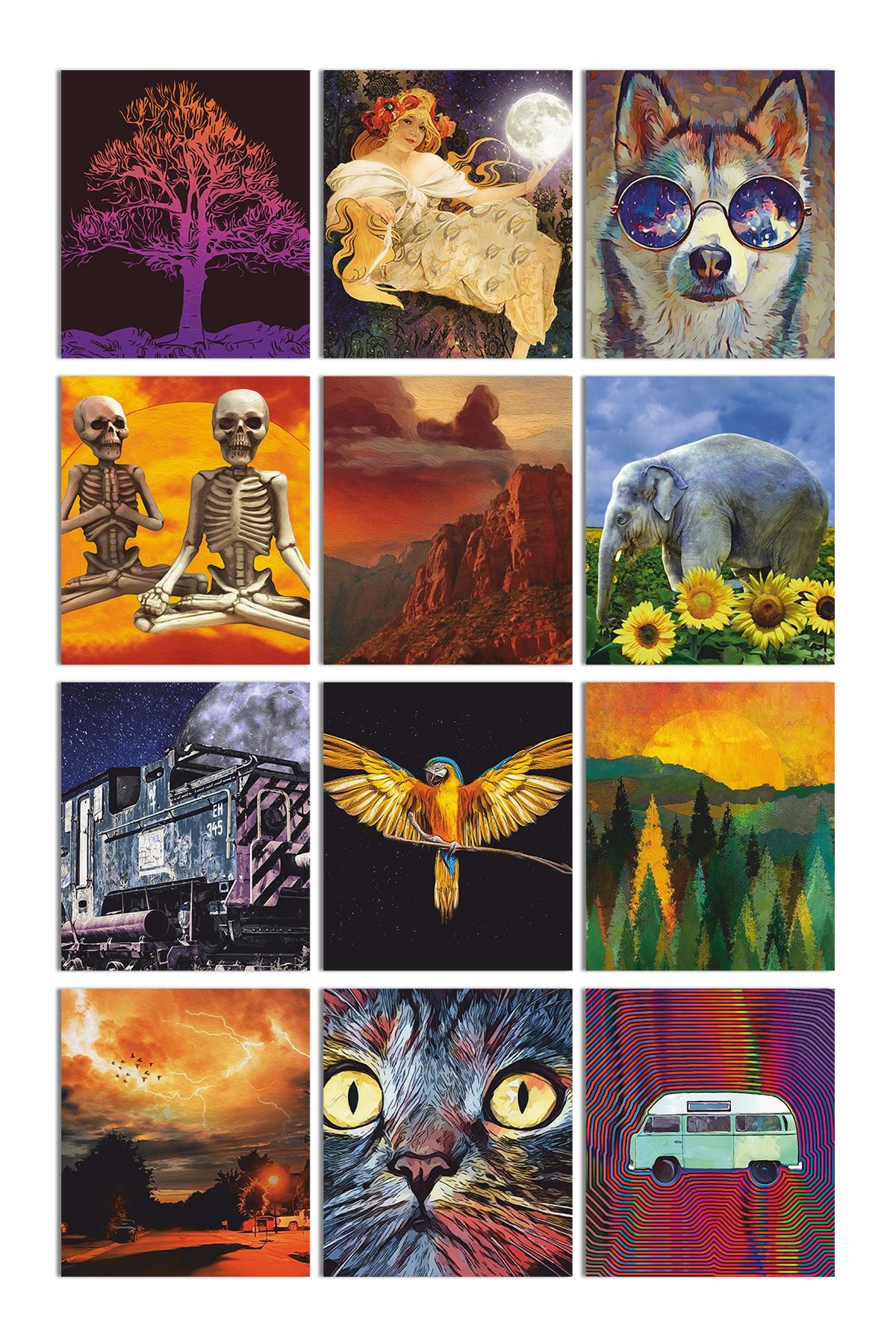 Özer Store 12 Adet Renkli Dekoratif Süsleme Kartpostal Seti