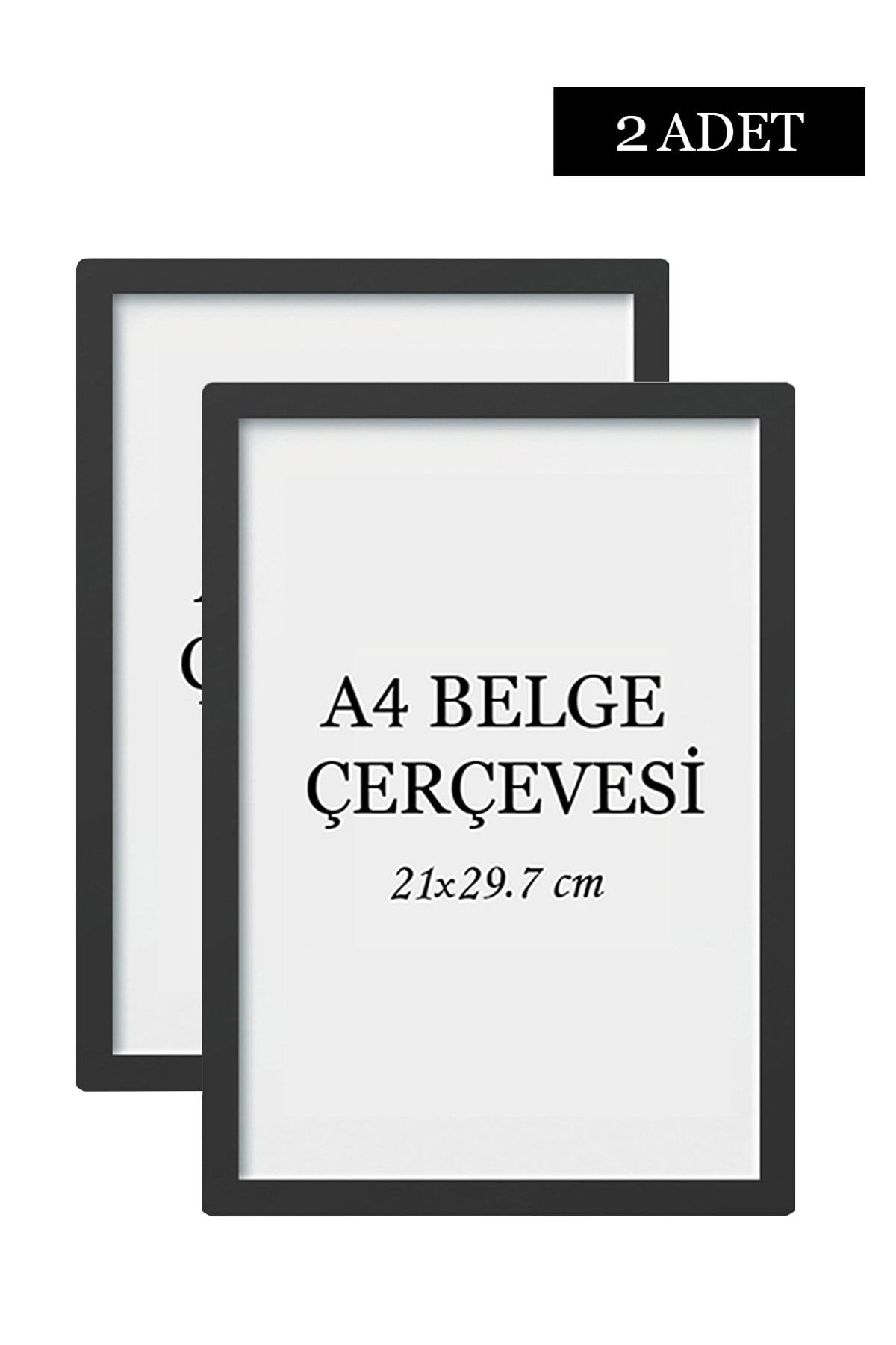 ÖZCANLAR ÇERÇEVE 2 Li Set A4(21x29.7) Diploma Çerçevesi Belge Çerçeveleri Sertifika Çerçevesi