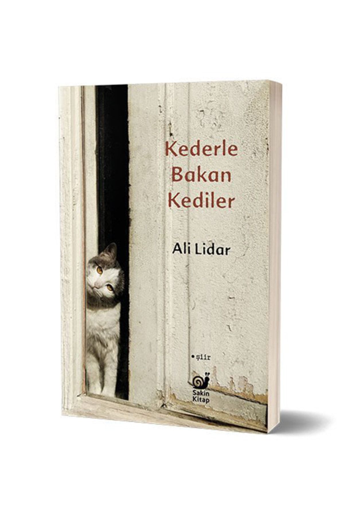 Sakin Kitap Kederle Bakan Kediler - Ali Lidar