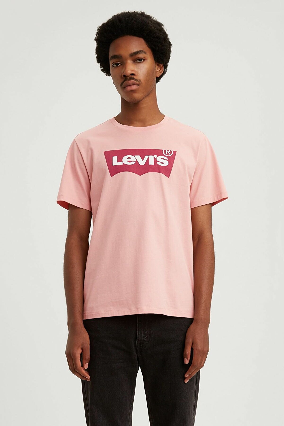 Levi's Erkek Housemark Graphic T-Shirt 22489-0259