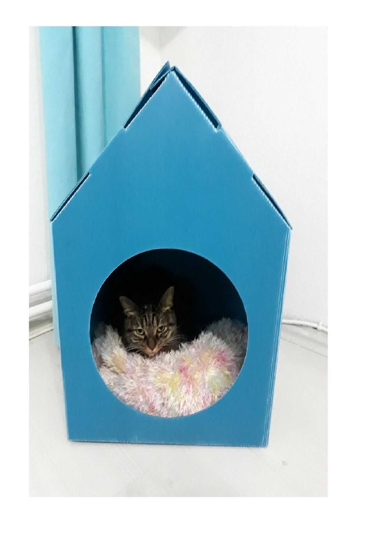 Weblonya Kedi Evi Kedi Kulübesi Katlanır Kedi Yuvası Fiyatı, Yorumları