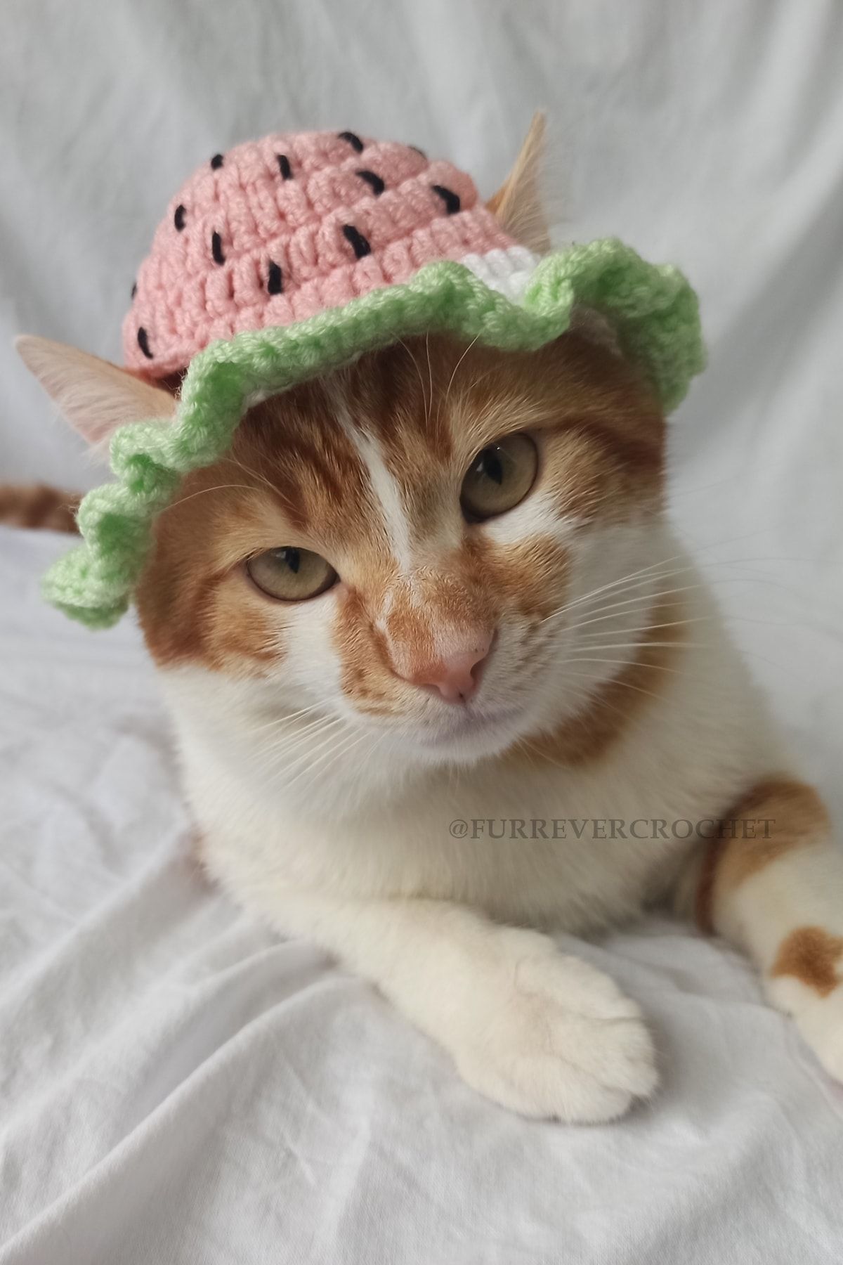Furrever Crochet Pastel Karpuz Meyve Bucket Şapka Örgü Kedi Köpek Şapkası Evcil Hayvan Şapkası Pet Aksesuarları