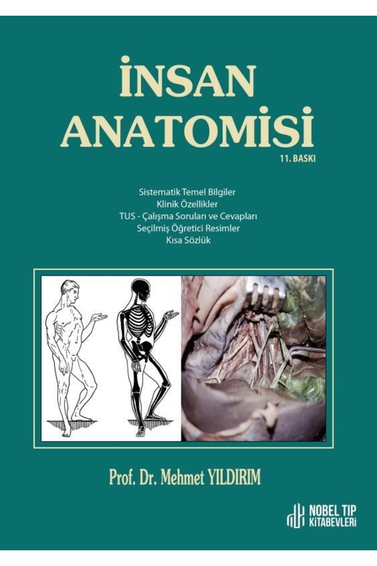Nobel Tıp Kitabevi Insan Anatomisi 11. Baskı