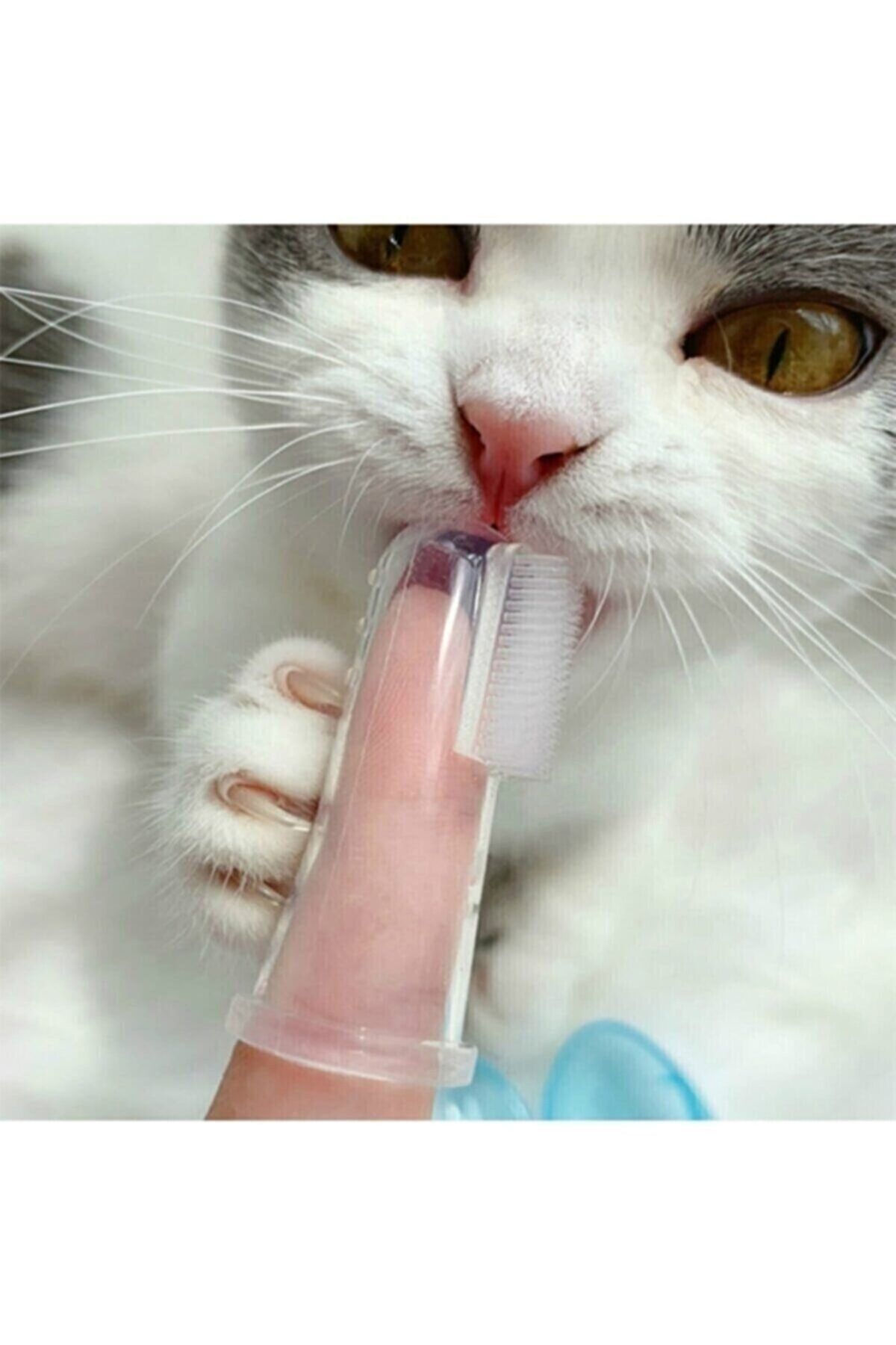 Bunionettes Diş Bakım Fırçası Kedi Ve Köpek Parmak Diş Fırçası Saklama Kutulu Kolay Kullanımlı Evcil Hayvan