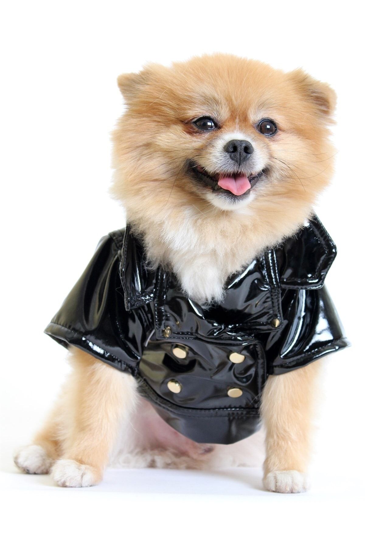 MAXSTYLESPET Pet Suni Deri Ceket - Siyah Rugan - Köpek Ve Kedi Kıyafeti