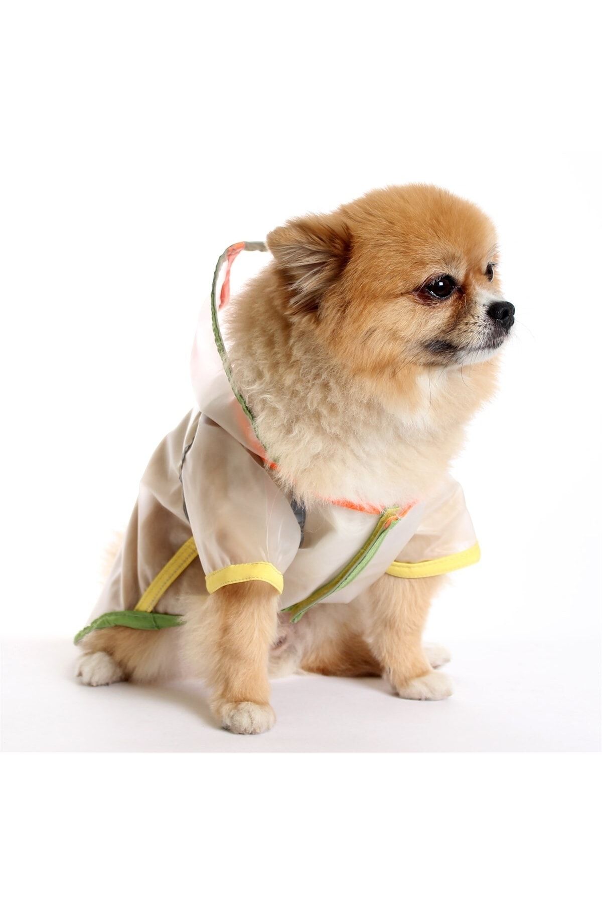 MAXSTYLESPET Şeffaf Yağmurluk Köpek Kedi Pet Kıyafeti