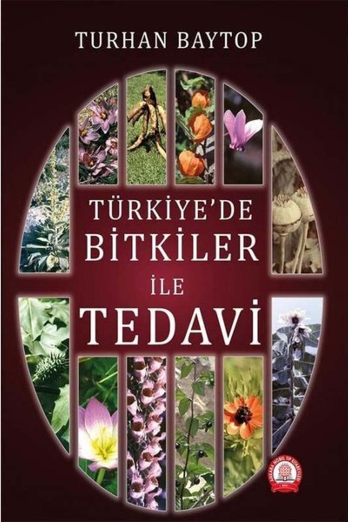 Ankara Nobel Tıp Kitabevi Türkiye'de Bitkiler ile Tedavi / Turhan Baytop / Ankara Nobel Tıp Kitabevi / 9786257146869