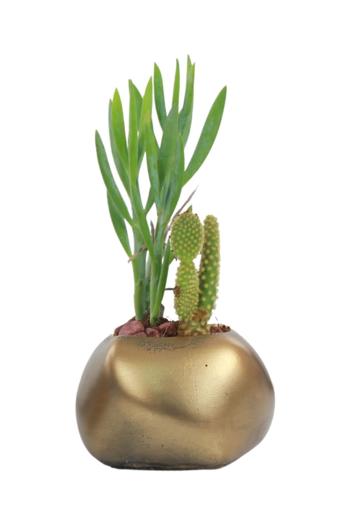 Stein Kohle Çiçek Saksısı Dekoratif Kaktüs Saksı 1 Adet Altın Renk Eskitme Uygulamalı Spiral Oval Model