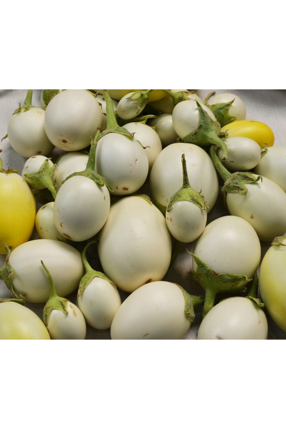 Farmer Life Beyaz Yumurta Patlıcan Tohumu (10 Tohum)