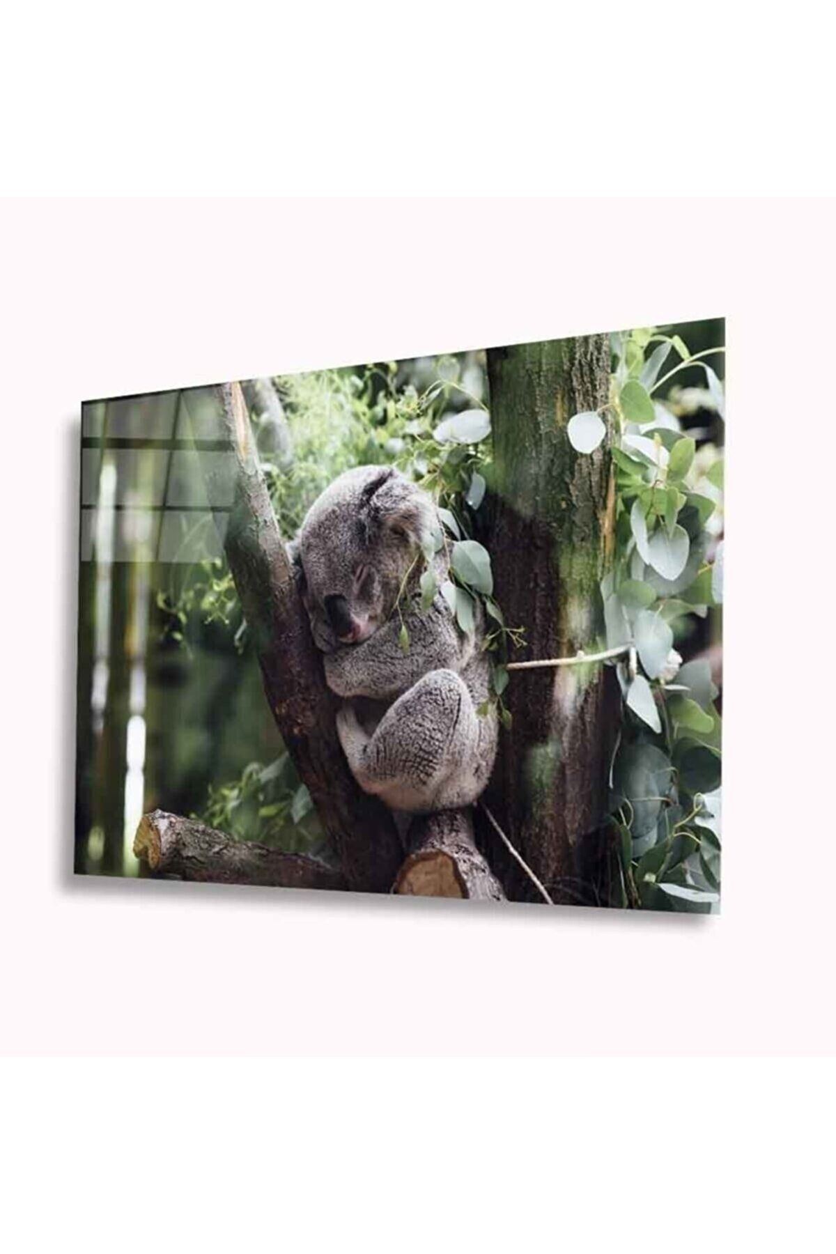 Genel Markalar Koala Cam Tablo 4mm Dayanıklı Temperli Cam A+kalite