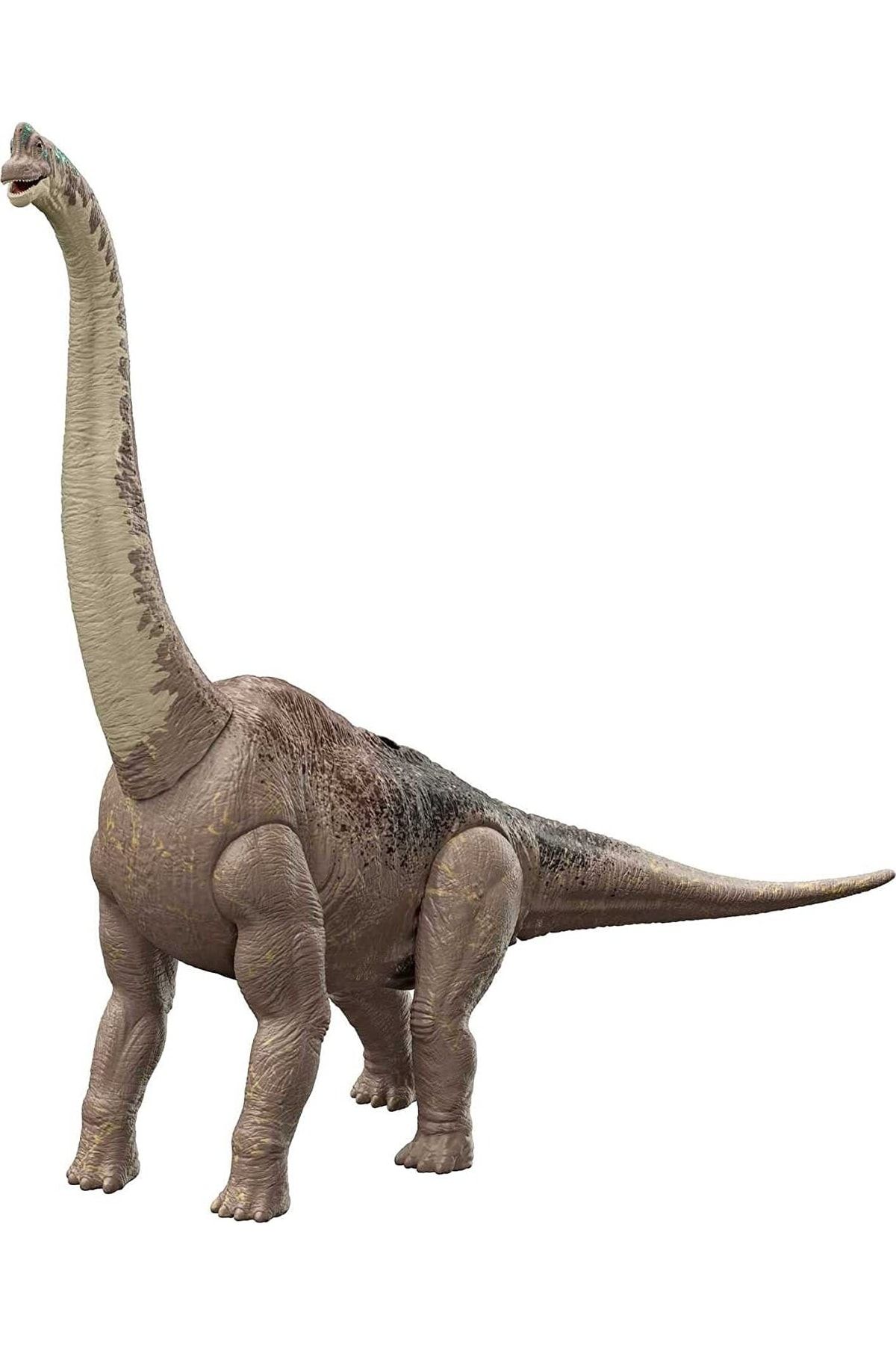 Jurassic World Brachiosaurus 32 Inch Long Action Figure Dev Dinozor Hayvan Figür