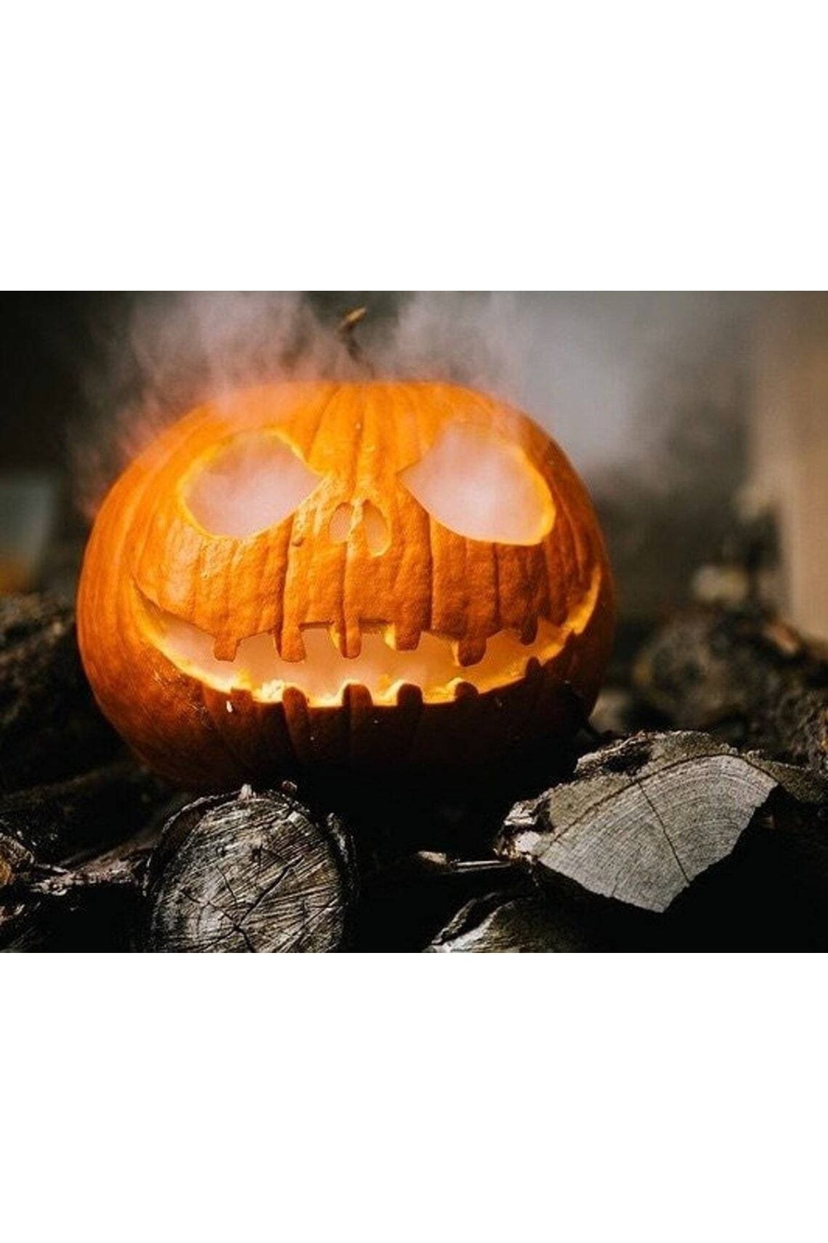 Tohum Dünyam 10 Adet Giant Pumpkin - Big Max Halloween Bal Kabağı Tohumu