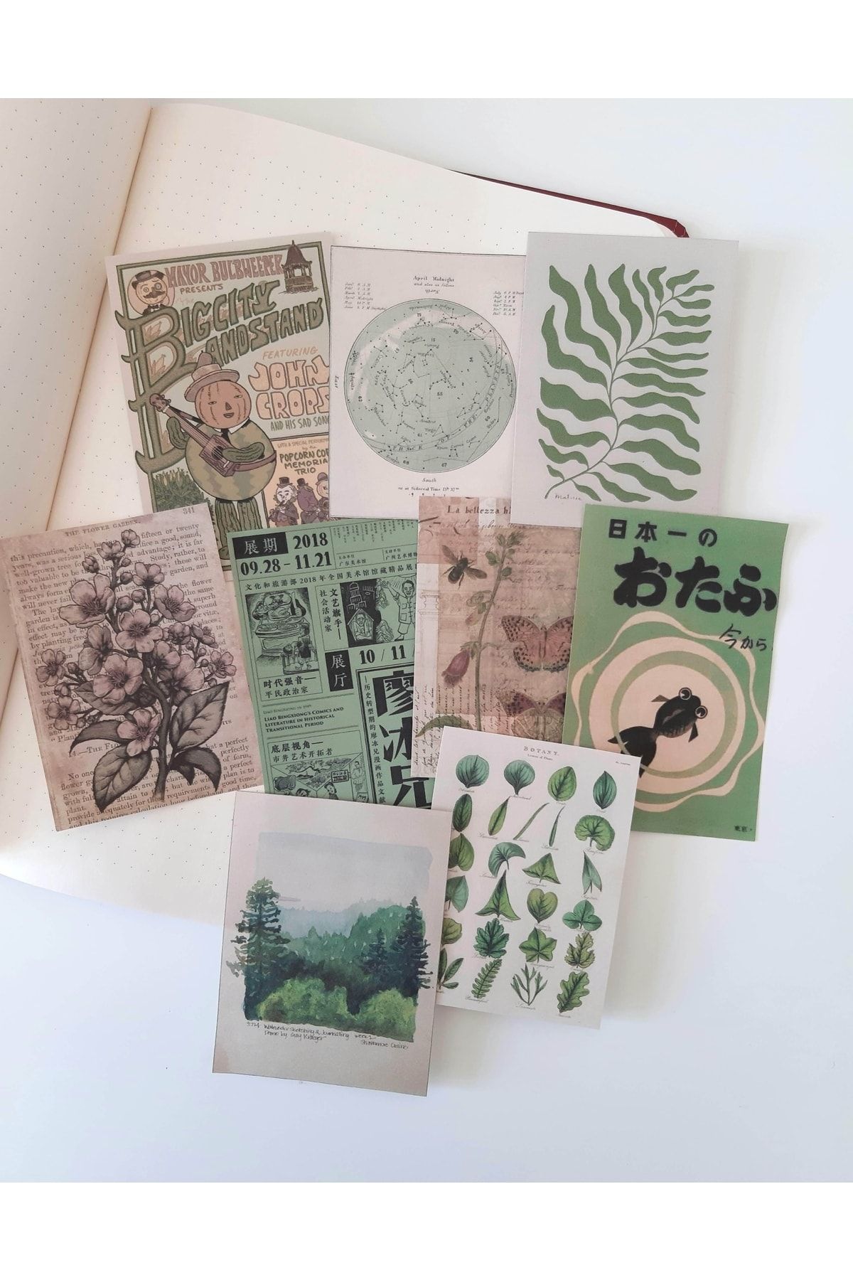 washitapetr Retro Yeşil Scrapbook Kağıt Seti (en Ince Kağıt)