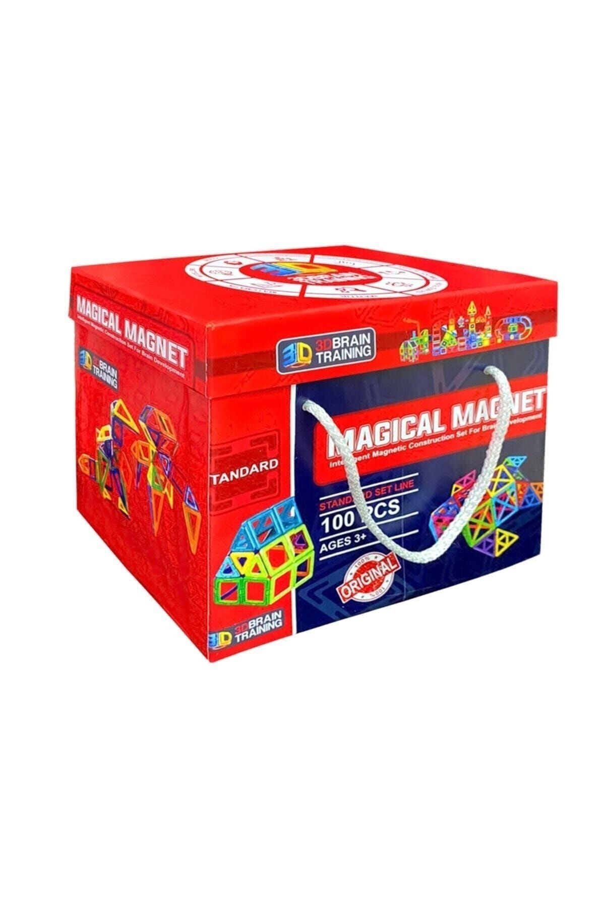 Magical Magnet , Mıknatıslı ,manyetik 3 Boyutlu Yapı Ve Tasarım Lego Eğitim Seti, 100 Parça