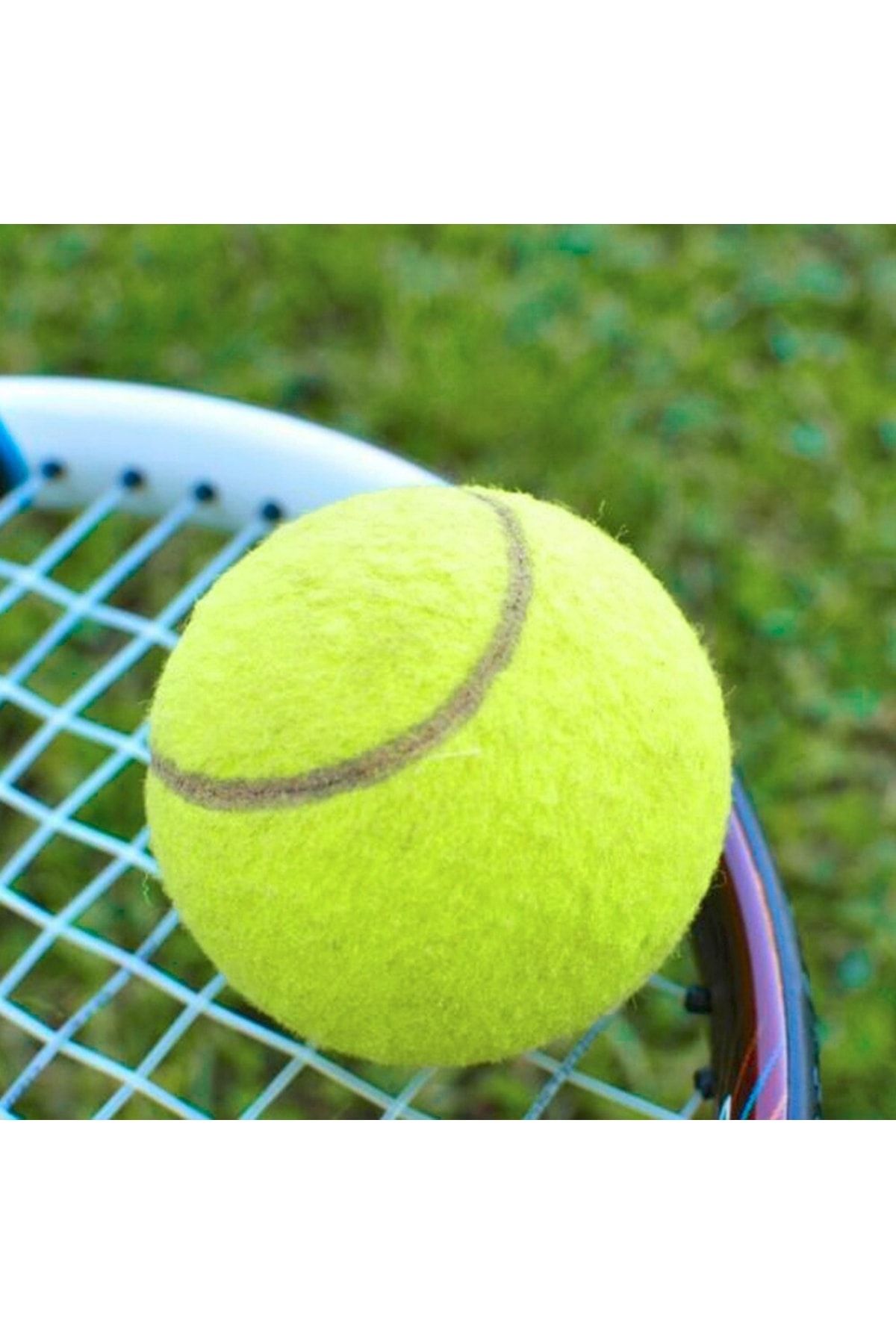 Leyaton Tenis Topu Fileli 12li Sarı