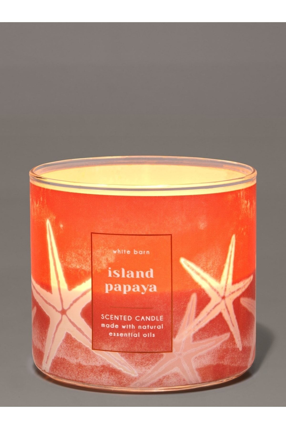 Bath & Body Works Candle Island Papaya