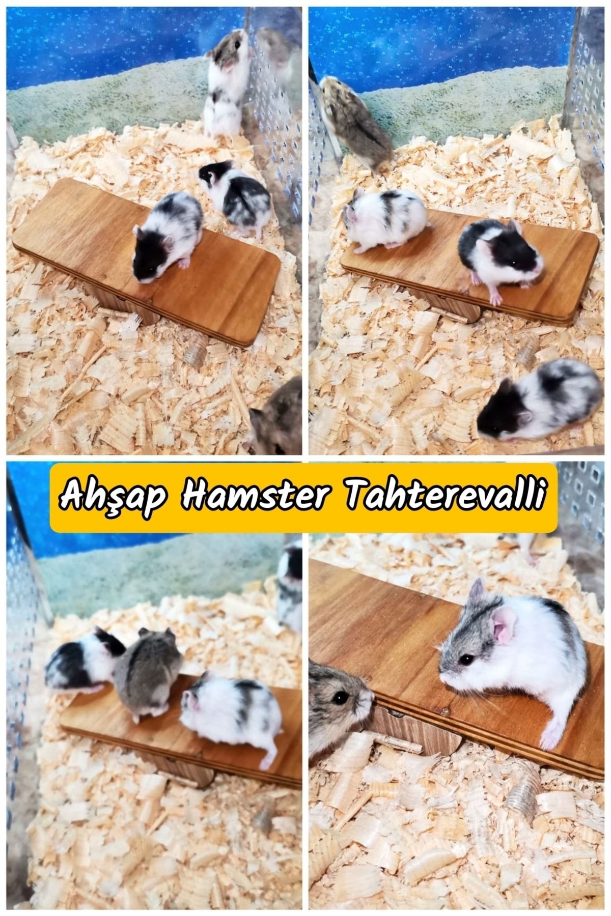 MDİZMİR Ahşap Hamster Tahterevalli - Oyuncak