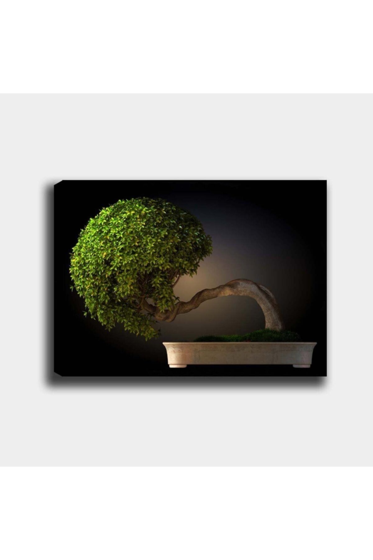 Syronix Yeşil Ağaç Kanvas Tablo