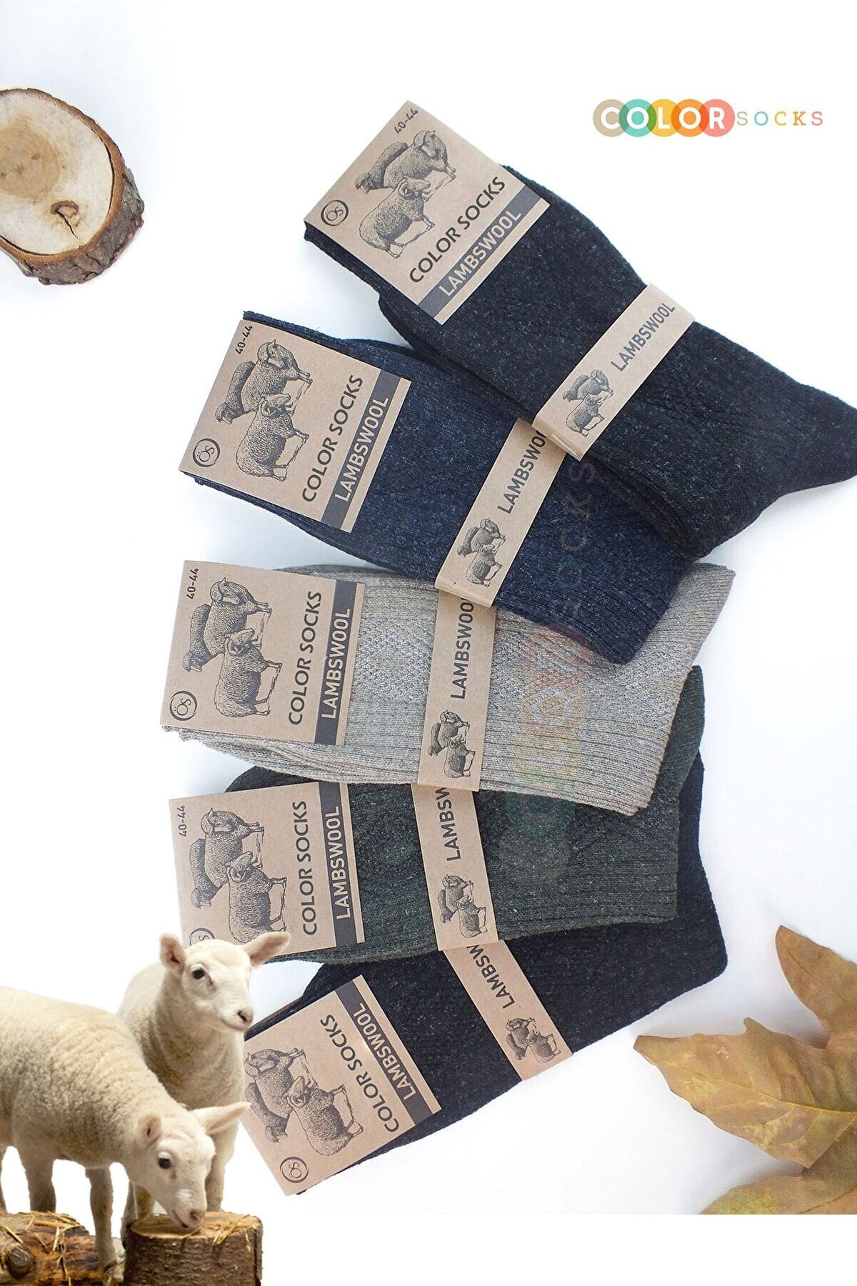 Color Socks 5 Çift Kışlık Yün Çorap Lambswool (ÖZEL KUZU YÜNLÜ)