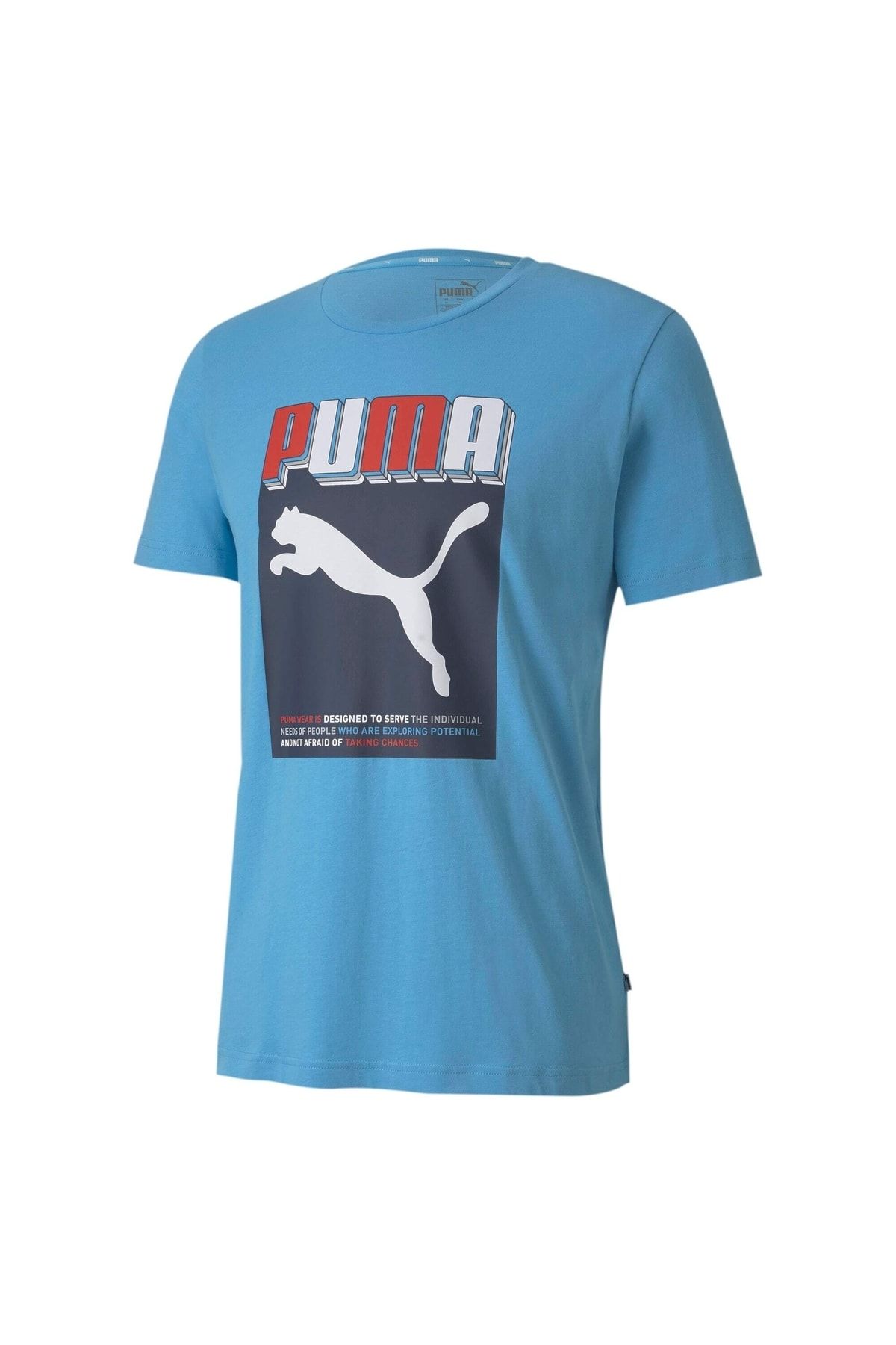 Puma Celebratıon Erkek Graphıc T-shirt
