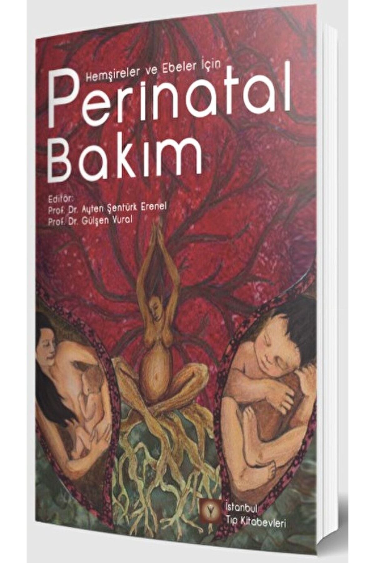 İstanbul Tıp Kitabevi Perinatal Bakım / Ayten Şentürk Erenel / / 9786057607980