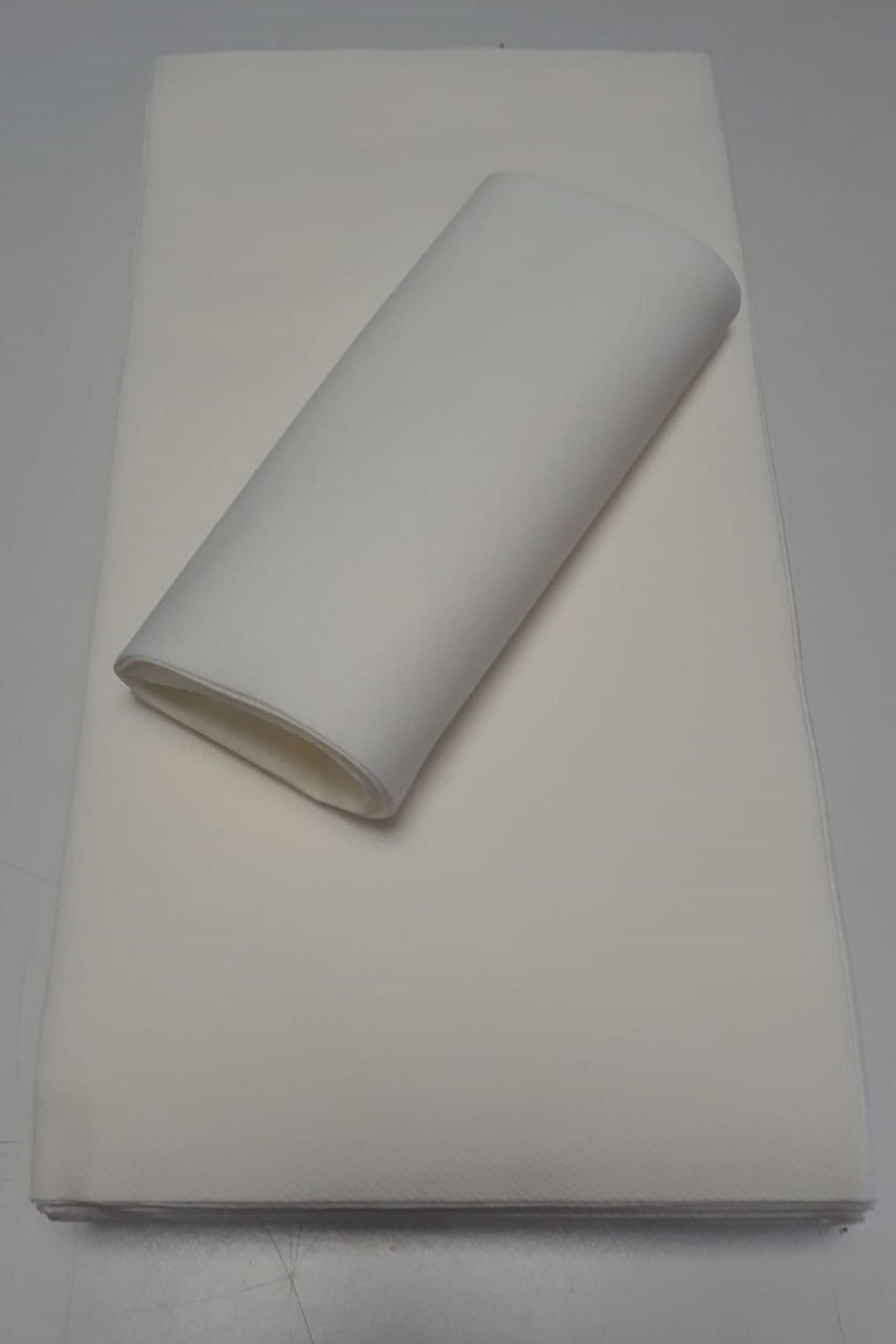 Biyo Max Tek Kullanımlık Kağıt Havlu 40x80cm (10 ADET)