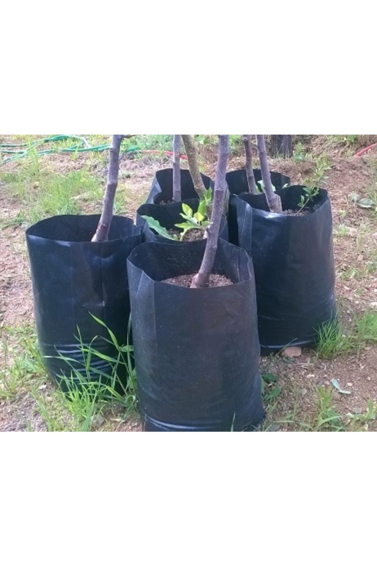 Asenya Fidan Poşeti 22x40 cm 10 Adet Fidan Torbası Fidan Yetiştirme Poşeti