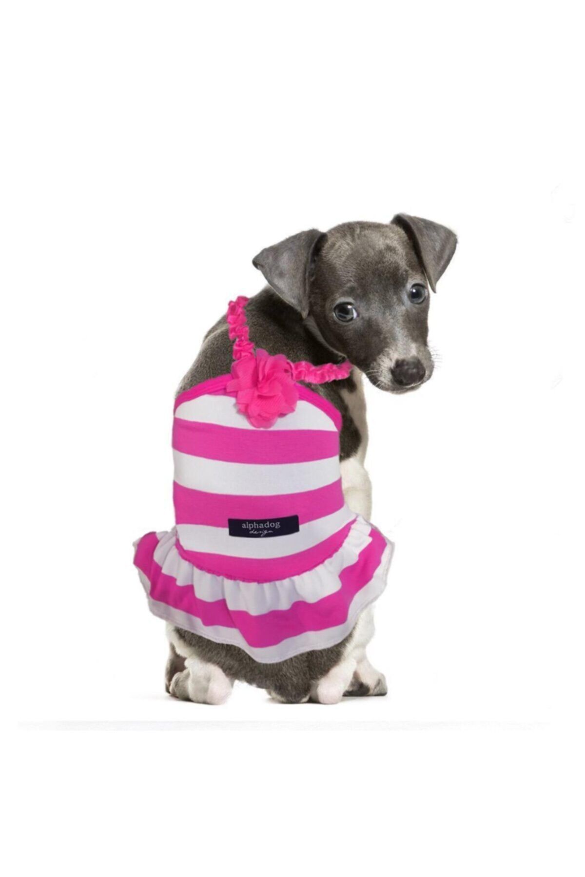 Alphadog Pembe Fırfırlı Köpek Elbisesi