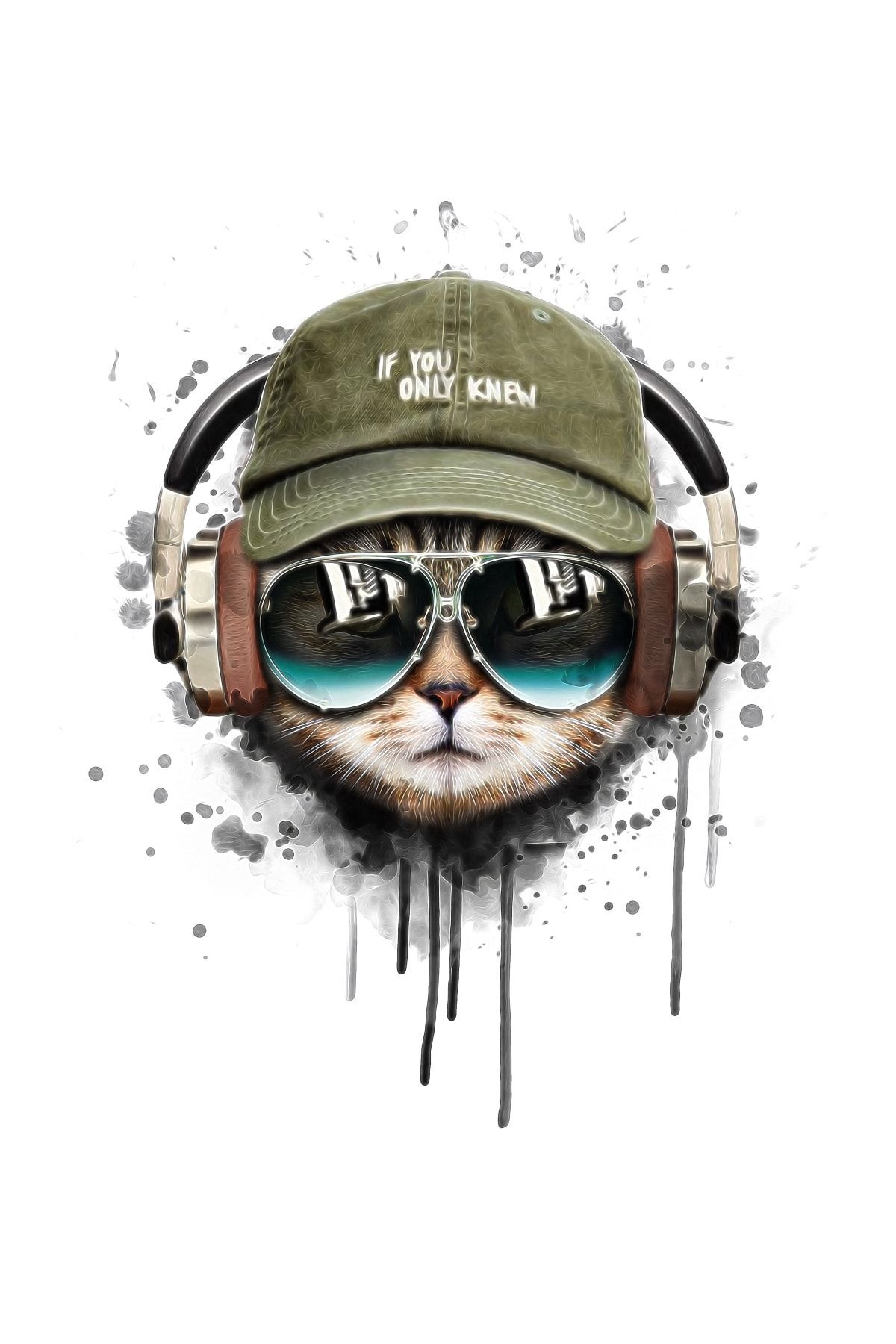 DecoPRO Şapkalı Kedi 3d Tek Parca Poster Duvar Kagıdı
