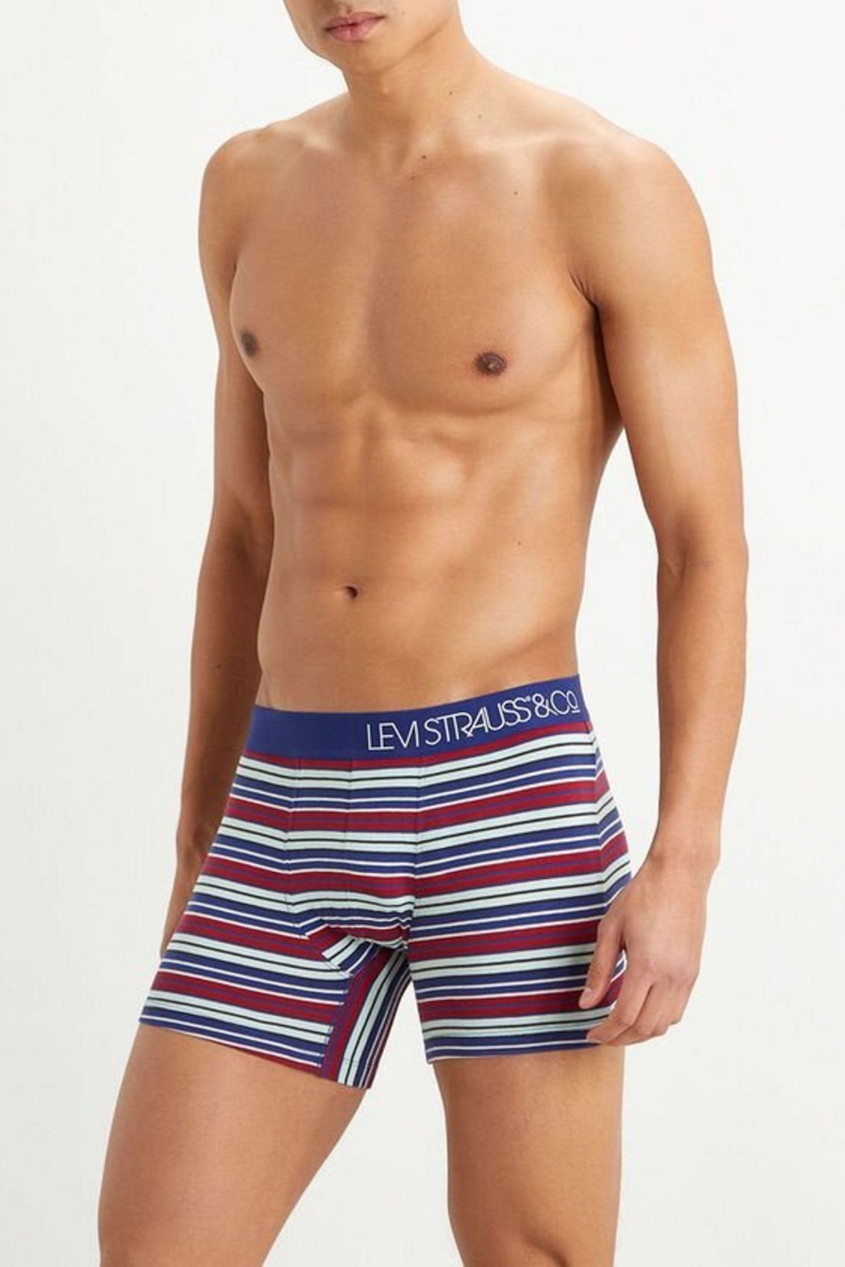 Levi's Multi Color Erkek Boxer
