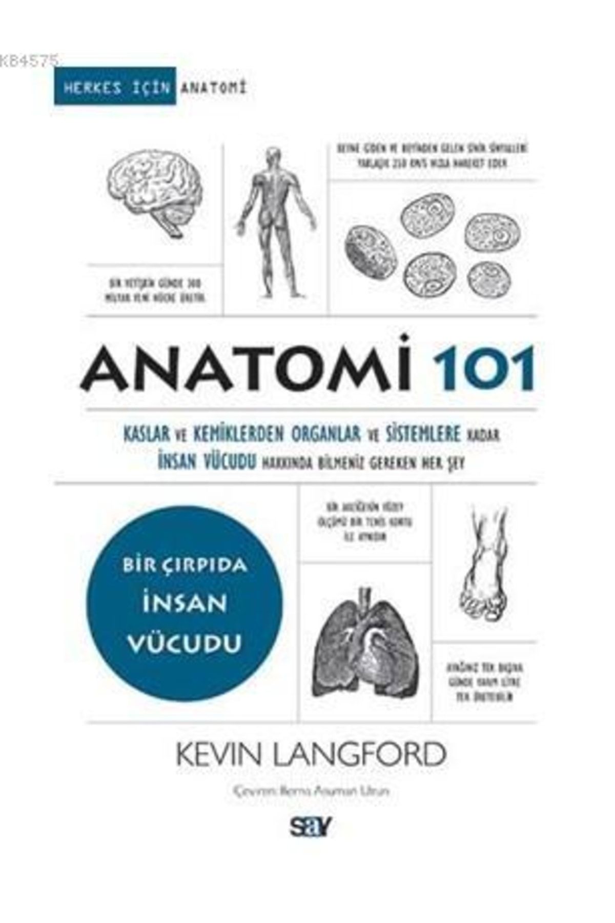 Say Yayınları Anatomi 101; Kaslar Ve Kemiklerden Organlar Ve Sistemlere Kadar Insan Vücudu Hakkında Bilmeniz Gerek