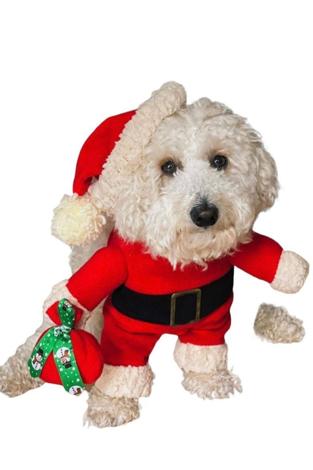 Sosyal Patiler Noel Baba Köpek Kostümü