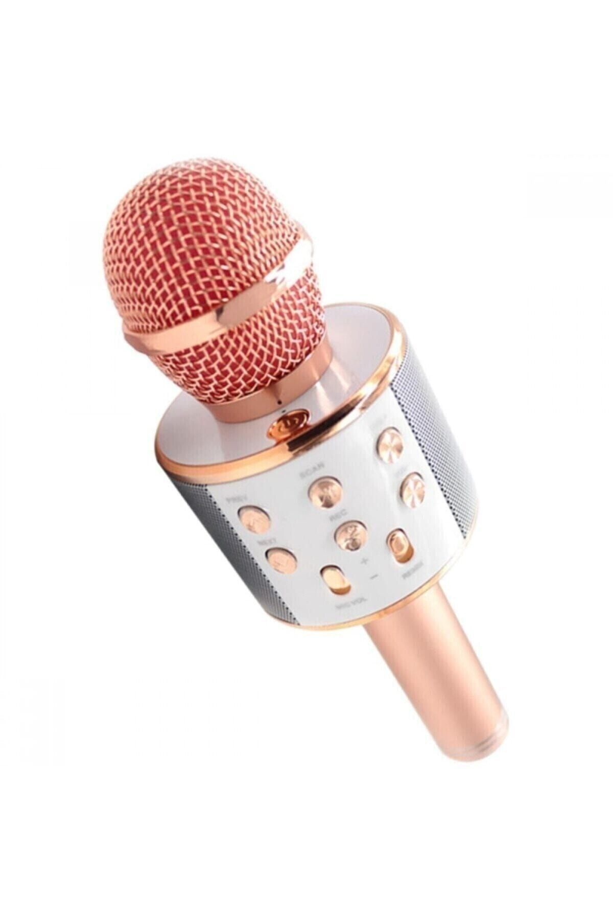 Platoon Pl-2463 Karaoke Mikrofon