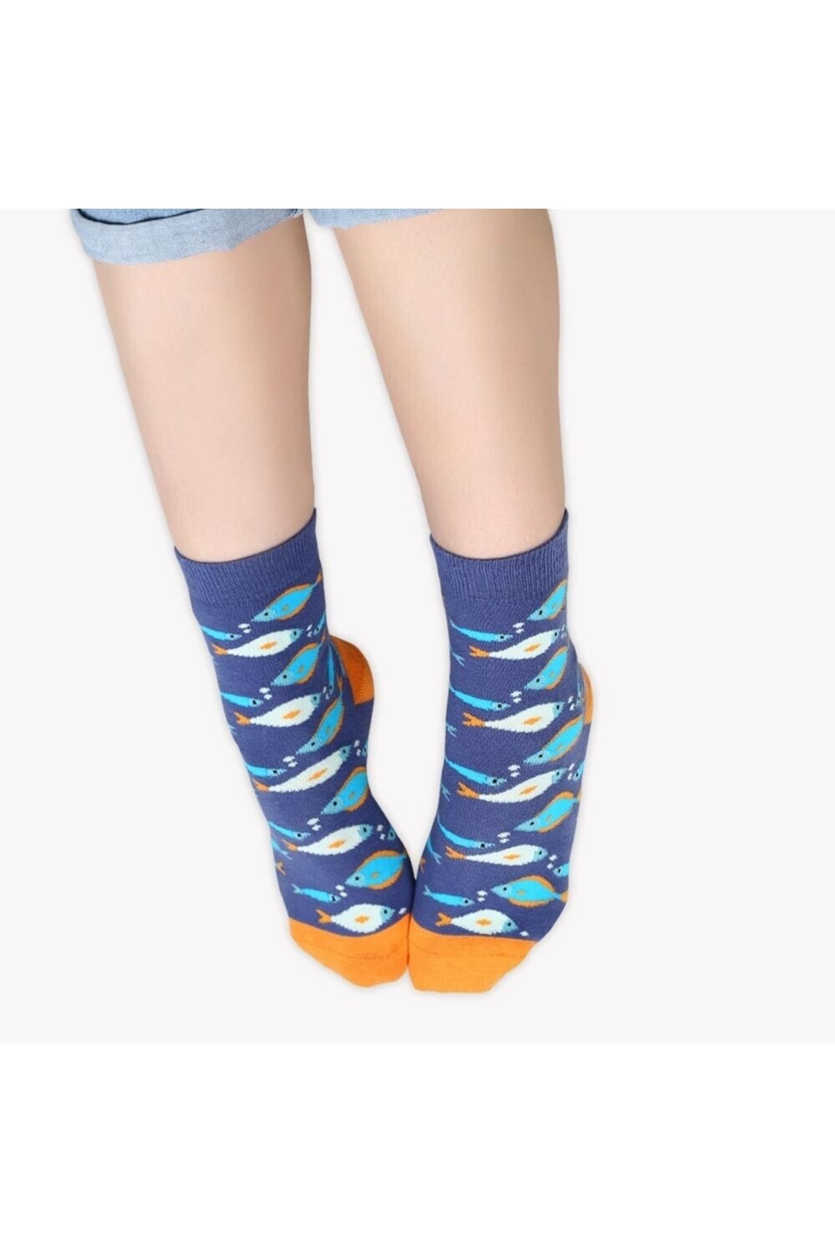 Colorcool %80 Pamuklu Rengarenk 4 Mevsim Kadın Çoraplar Serisi
