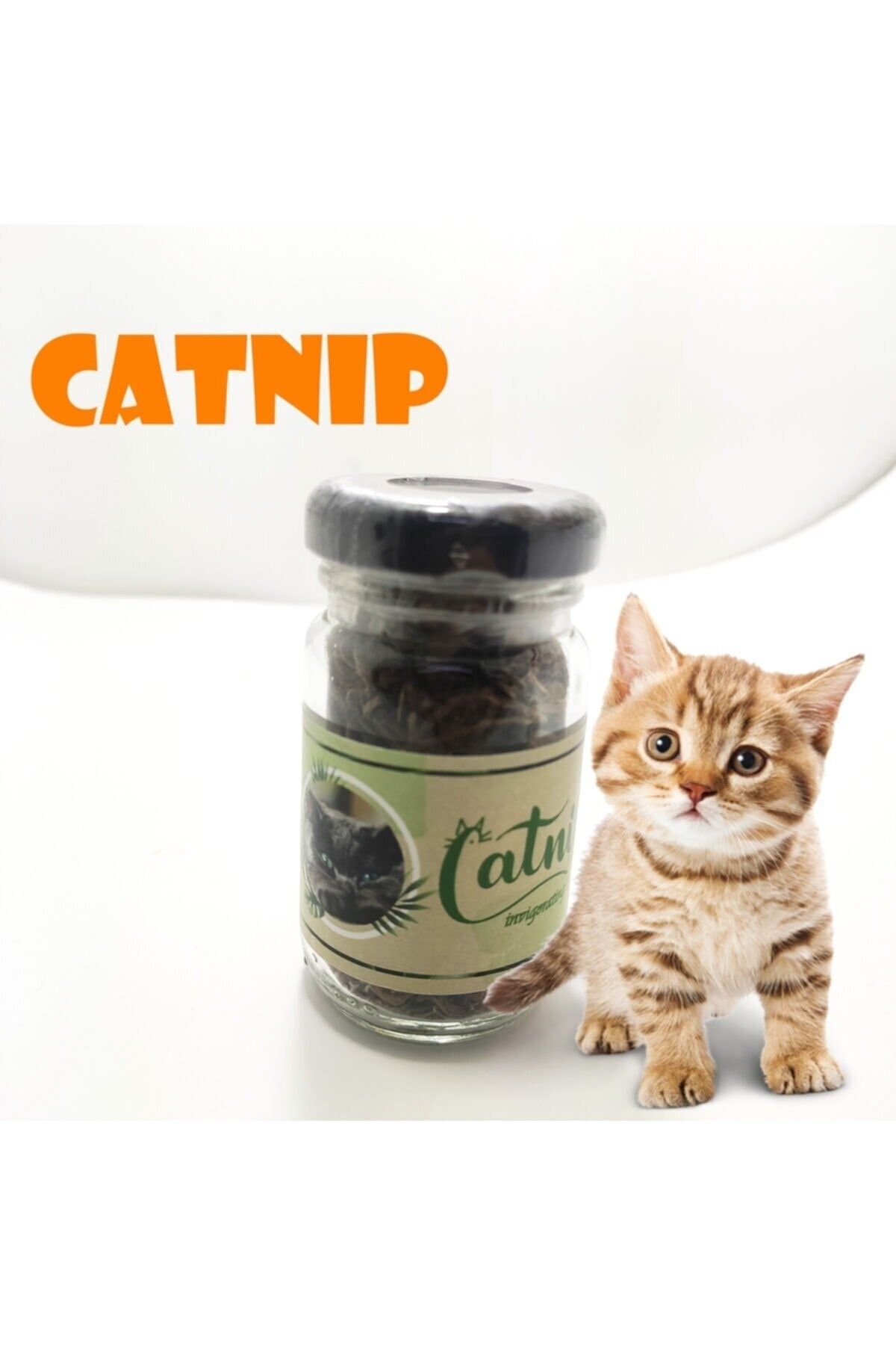 GAT Shop Doğal Yenilebilir Kedi Nanesi Otu Kedi Yalama