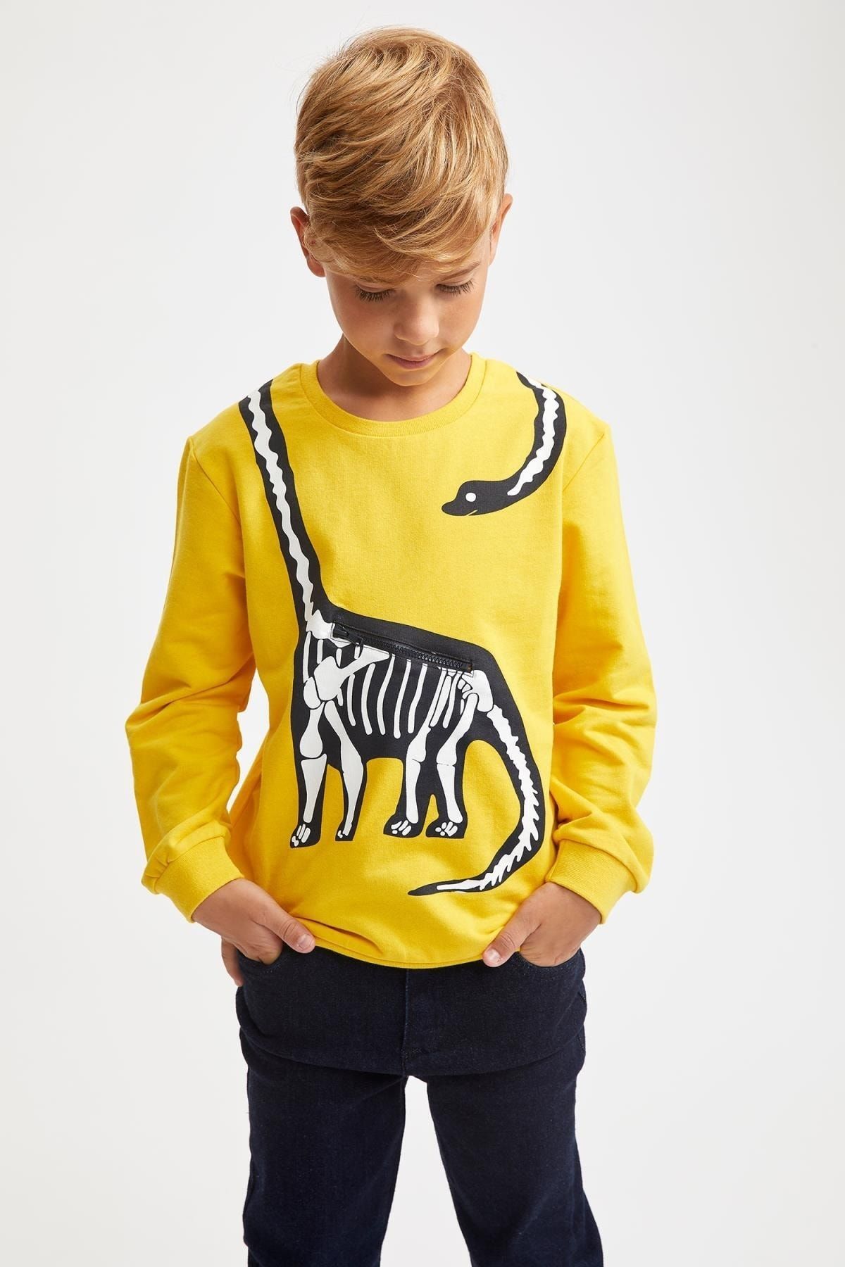 Defacto Erkek Çocuk Dinozor Baskılı Fermuar Detaylı Sweatshirt