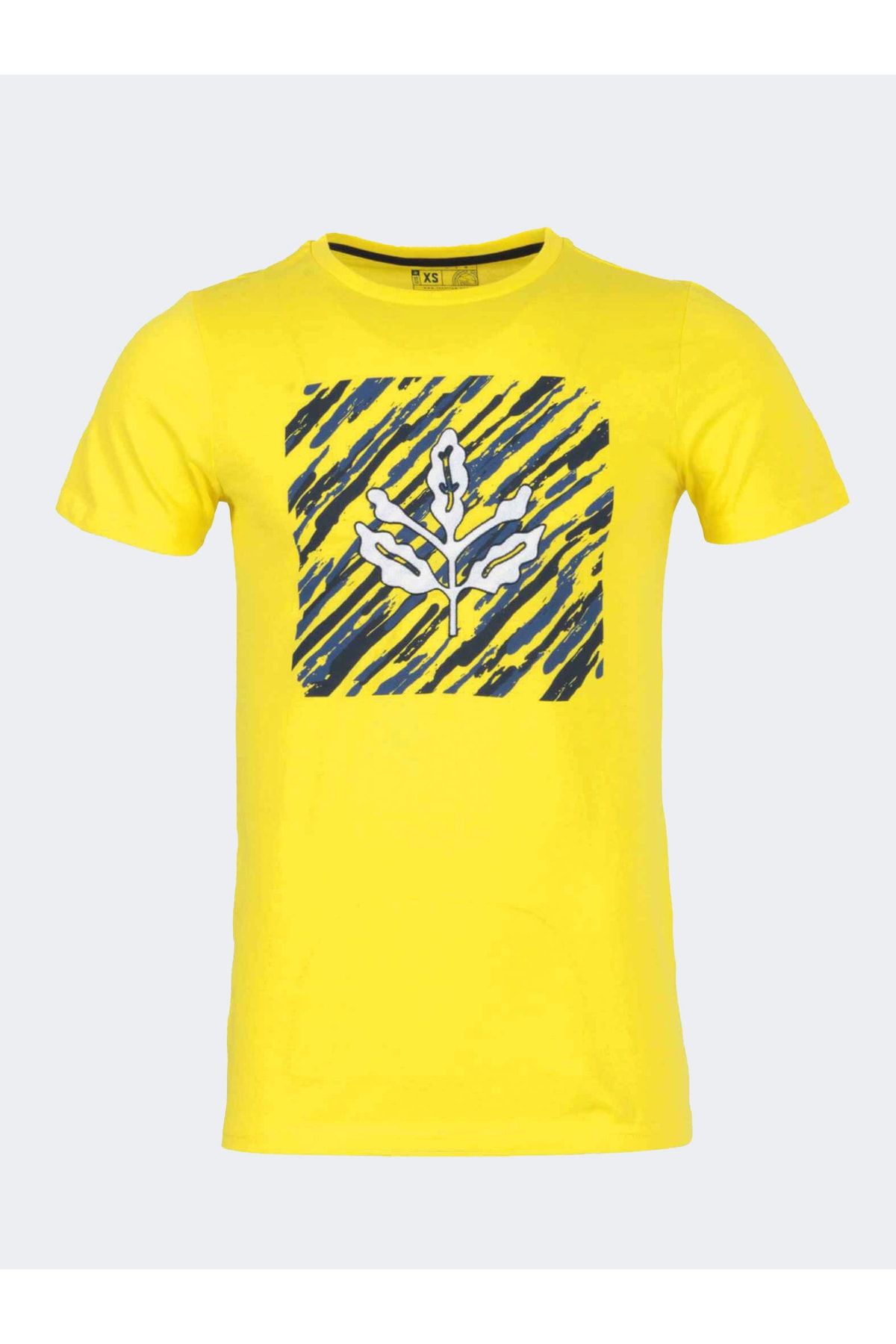 Fenerbahçe Erkek Tribün Baskılı Palamut T-shirt