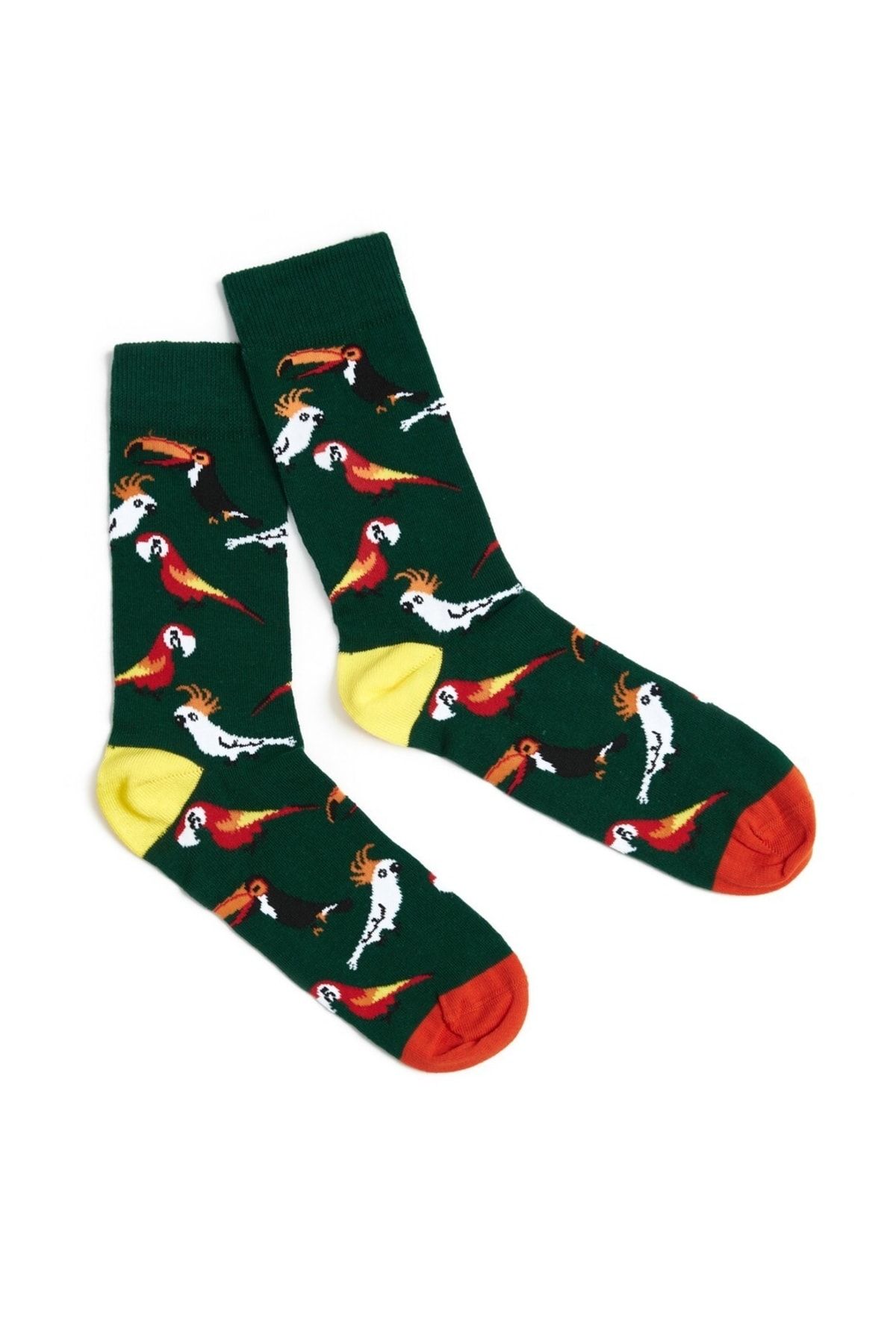 oopssocks Papağan Desenli Soket Çorap
