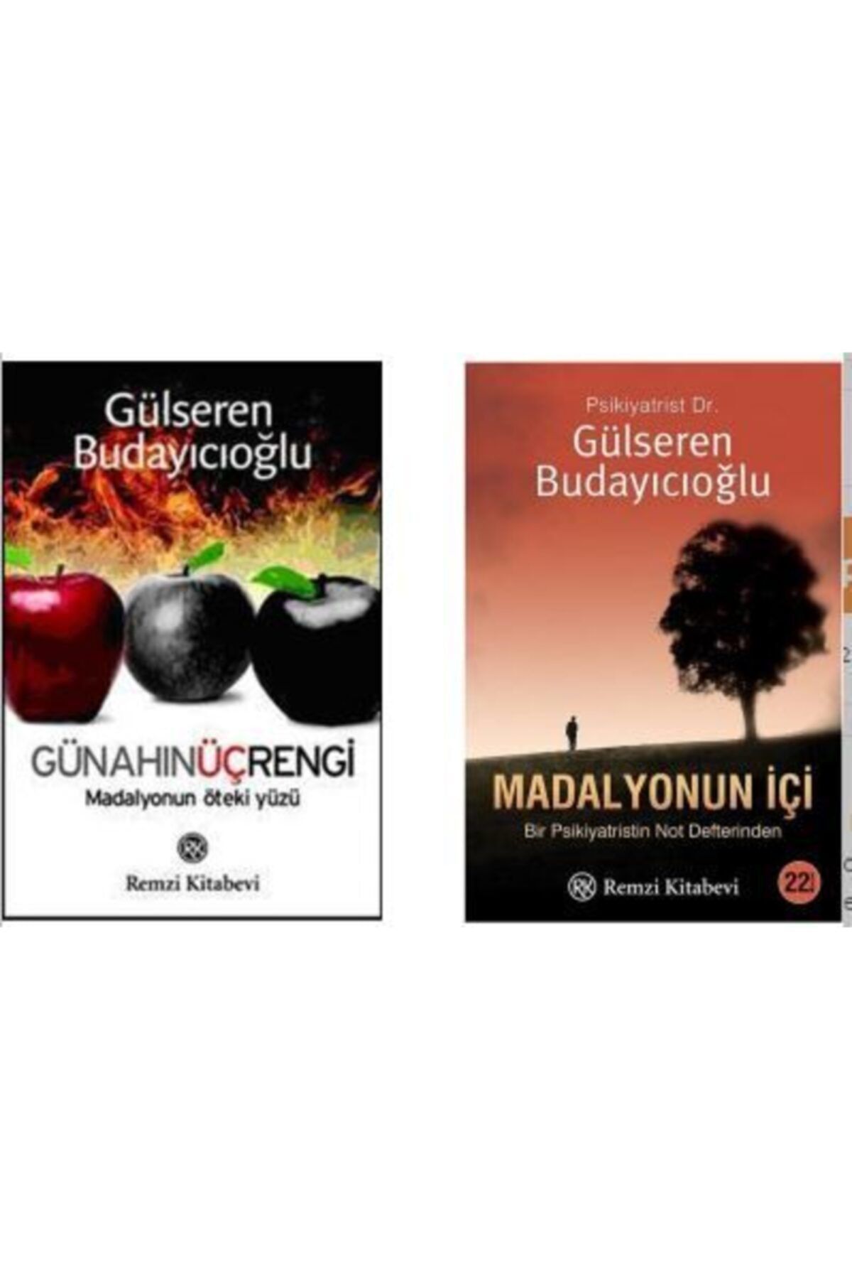 Remzi Kitabevi Gülseren Budayıcıoğlu 2 Kitap Set Günahın Üç Rengi - Madalyonun Içi