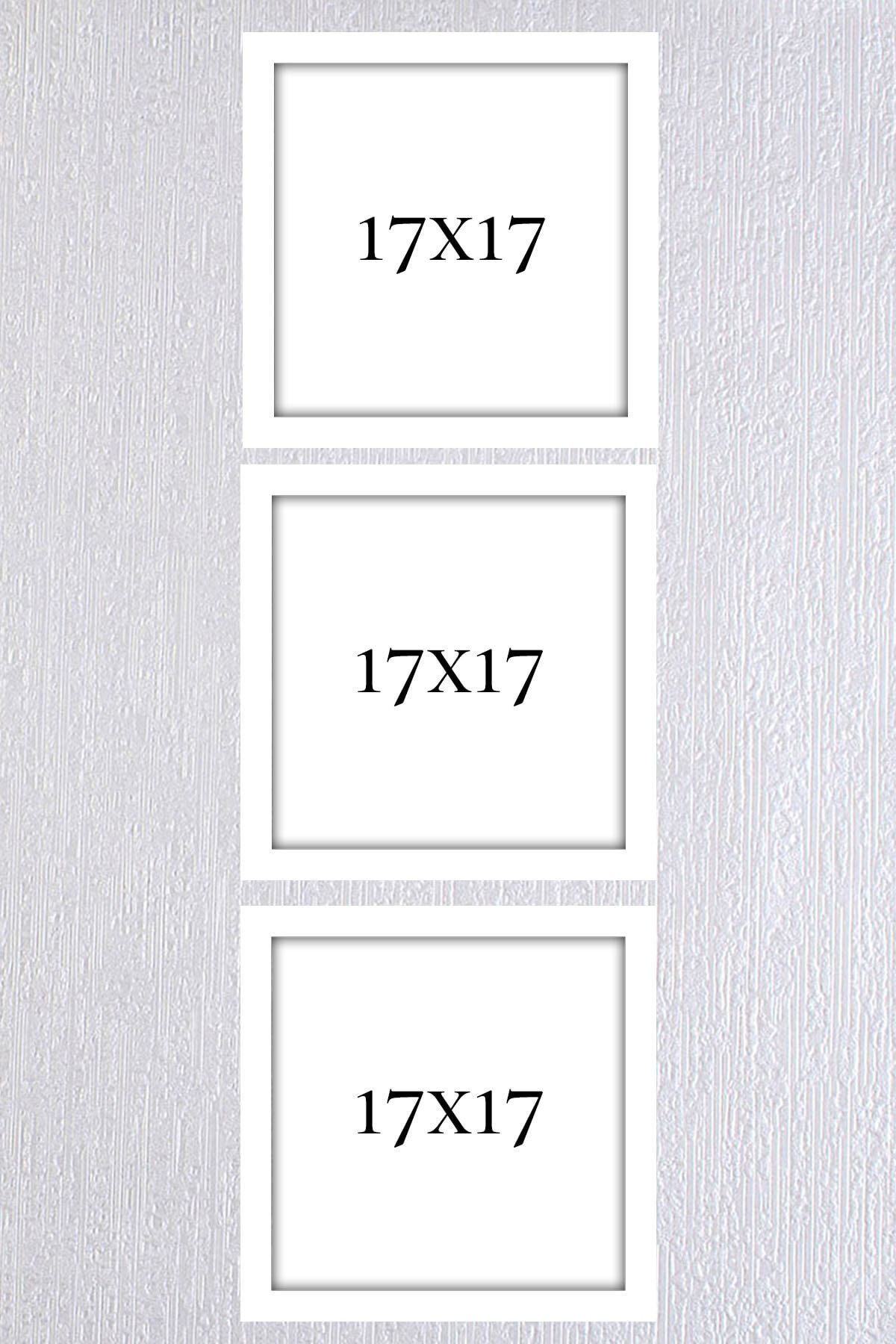 Araste Dekorasyon Beyaz Çerçeve Seti 3 Adet 17x17