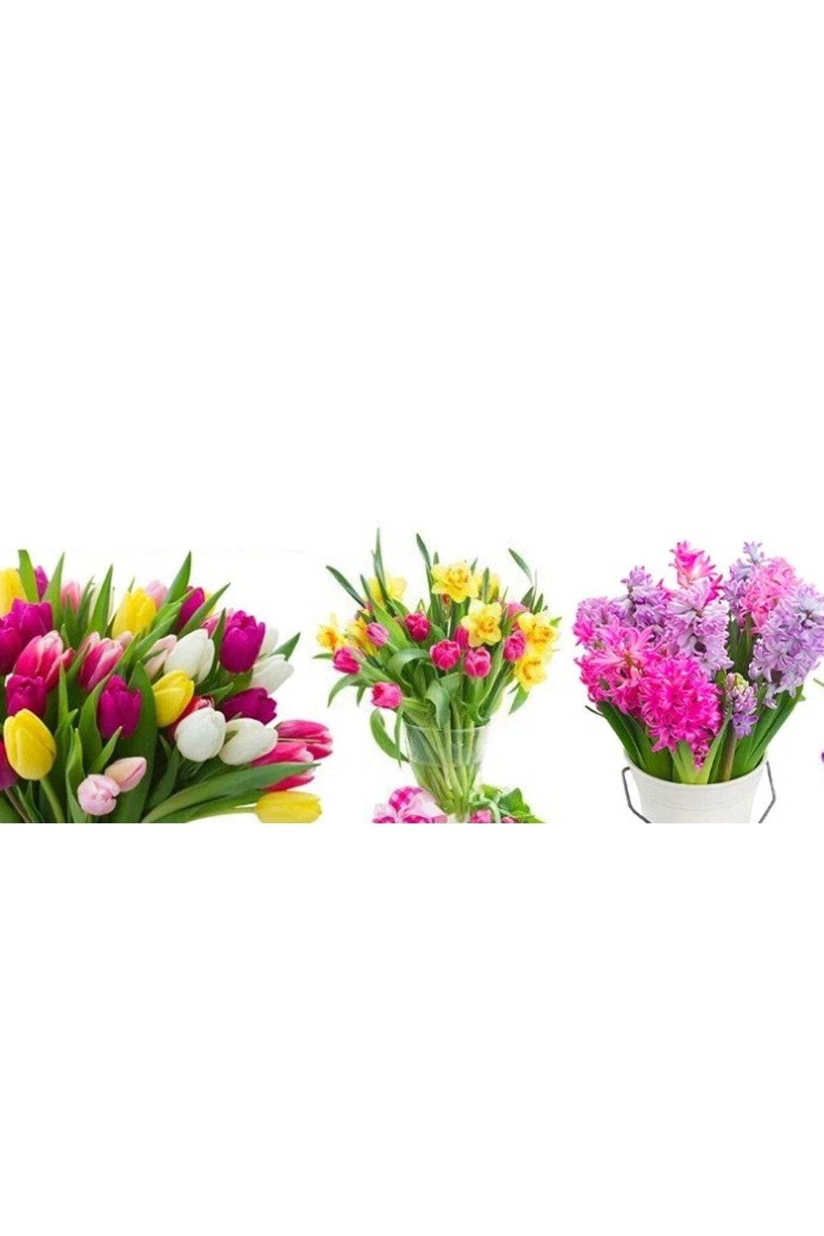 Vipfoni Karışık Çiçek Soğanları (nergis Sümbül,lale,iris) 5 Adet